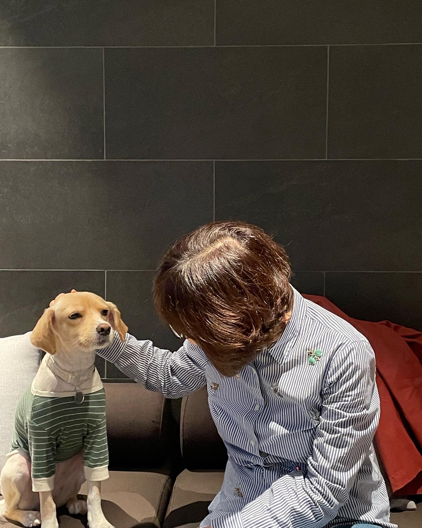 삼콩이 루시 잘 지내요 