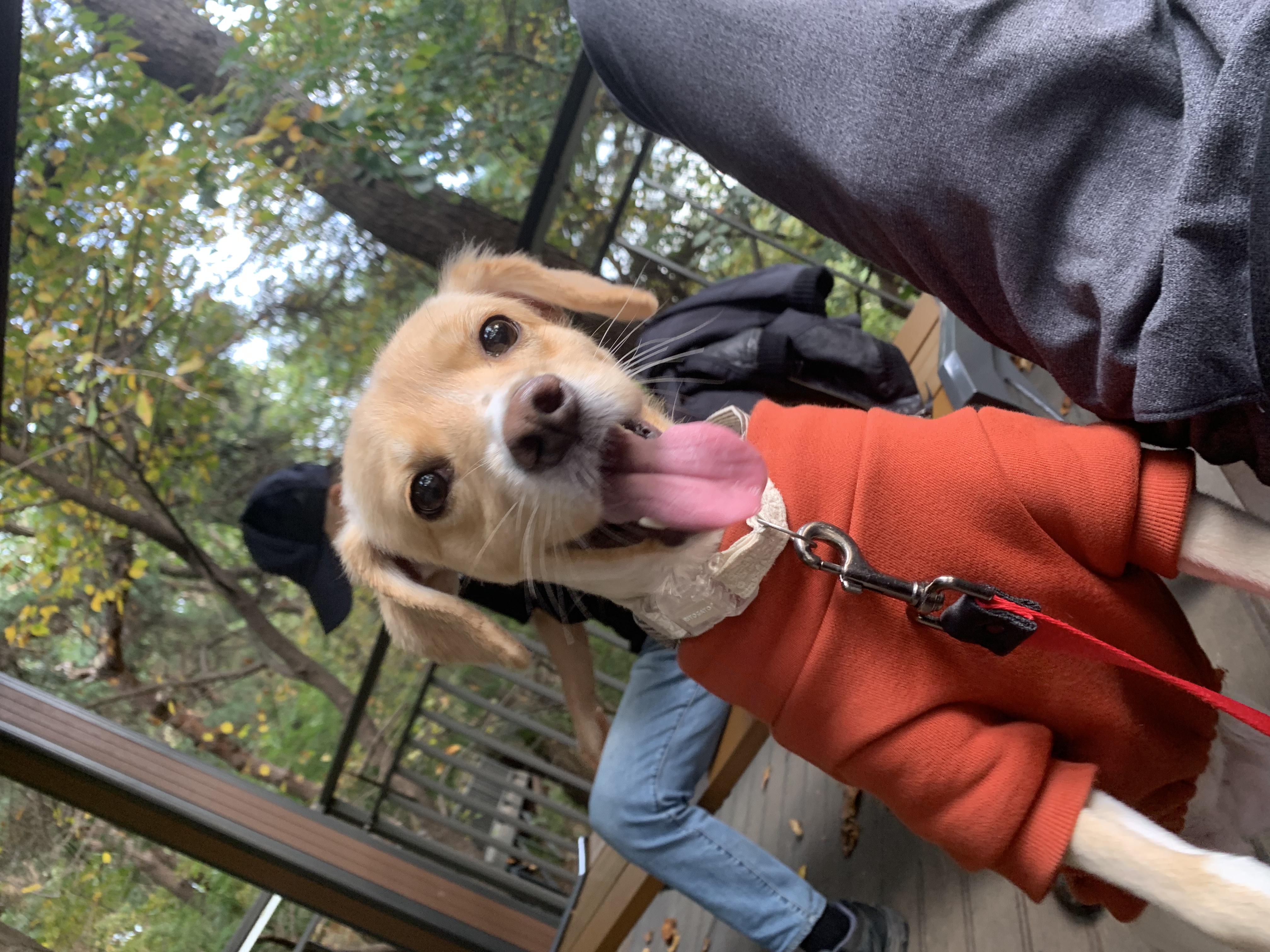 삼콩이 루시 잘 지내요 