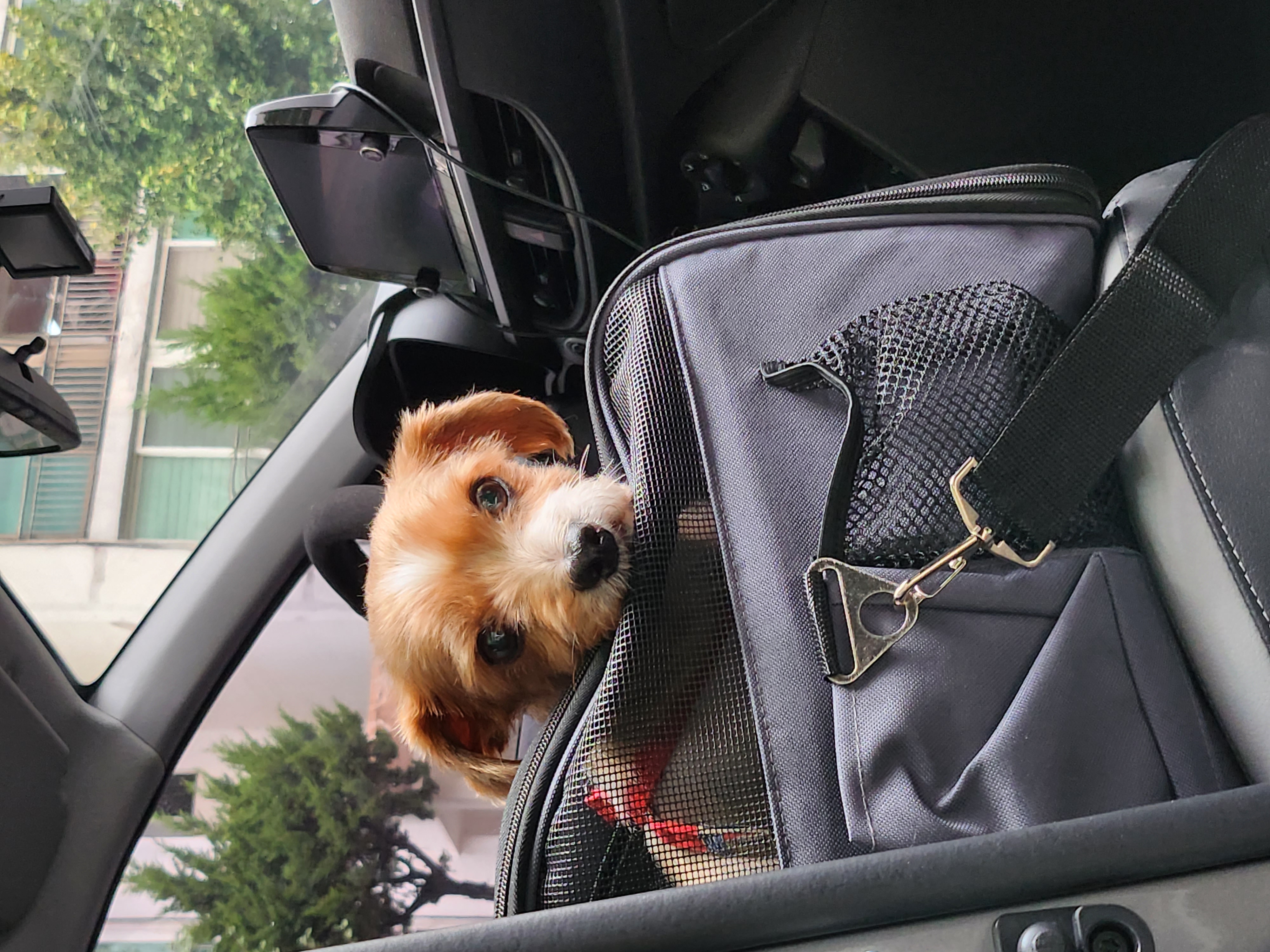 달봉(대금)이 오랜만에 찾아왔어요.