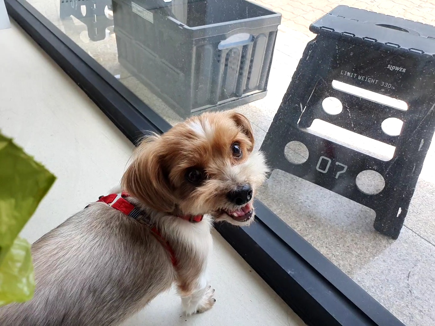 달봉(대금)이 오랜만에 찾아왔어요.