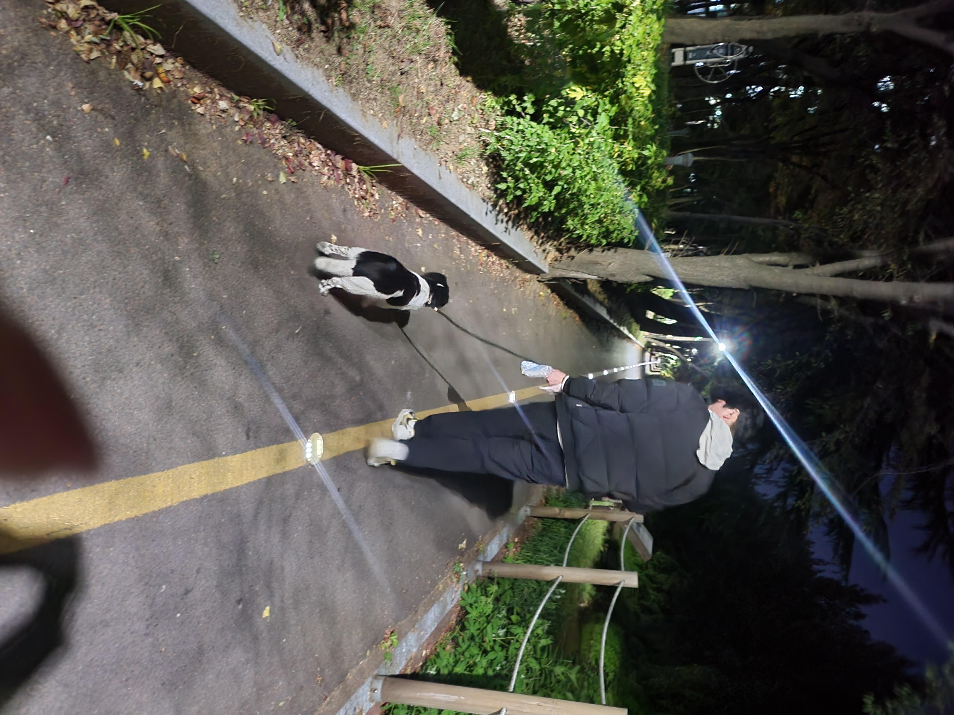 첸첸입양후  2주~