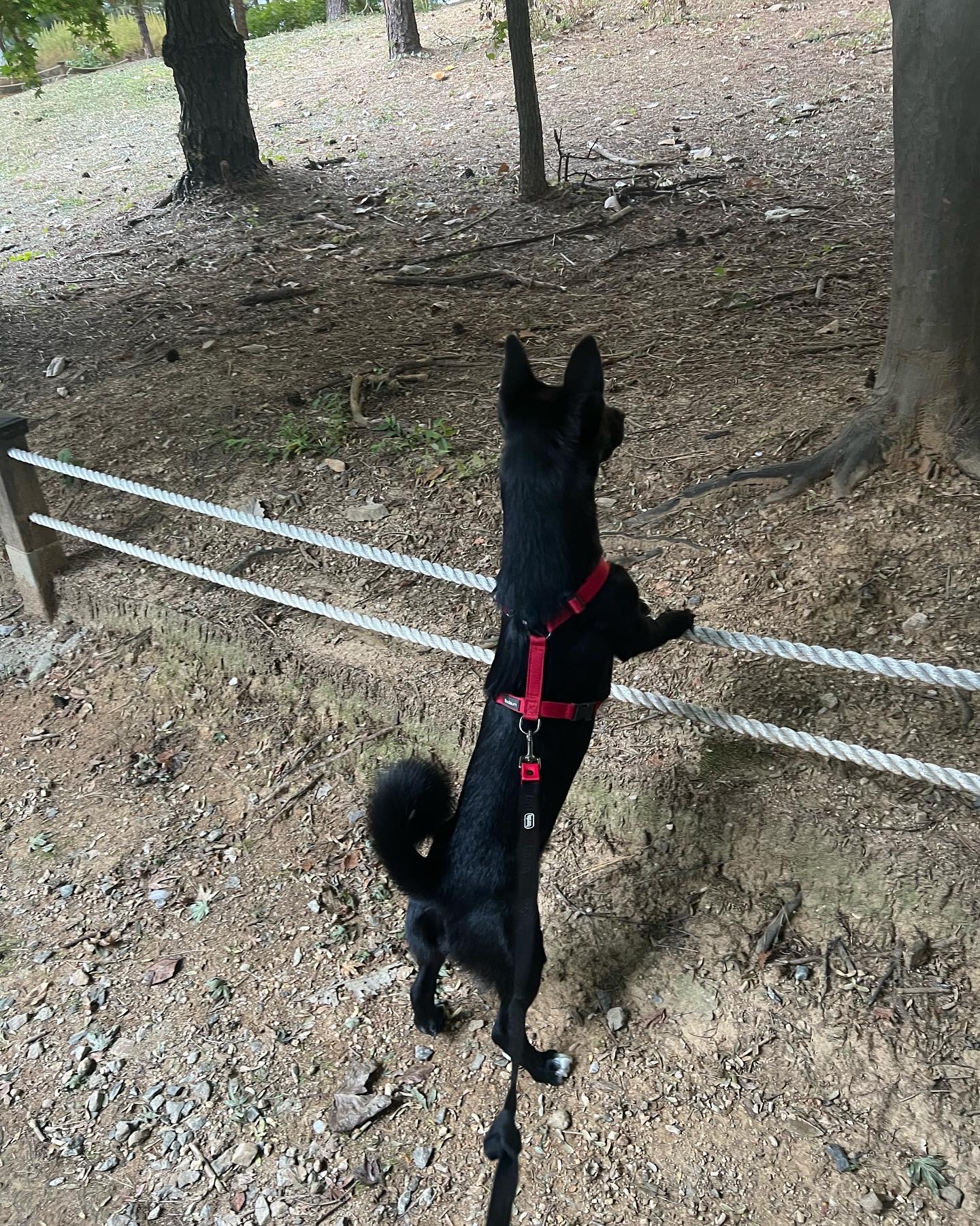 (레드) 밤이 근황