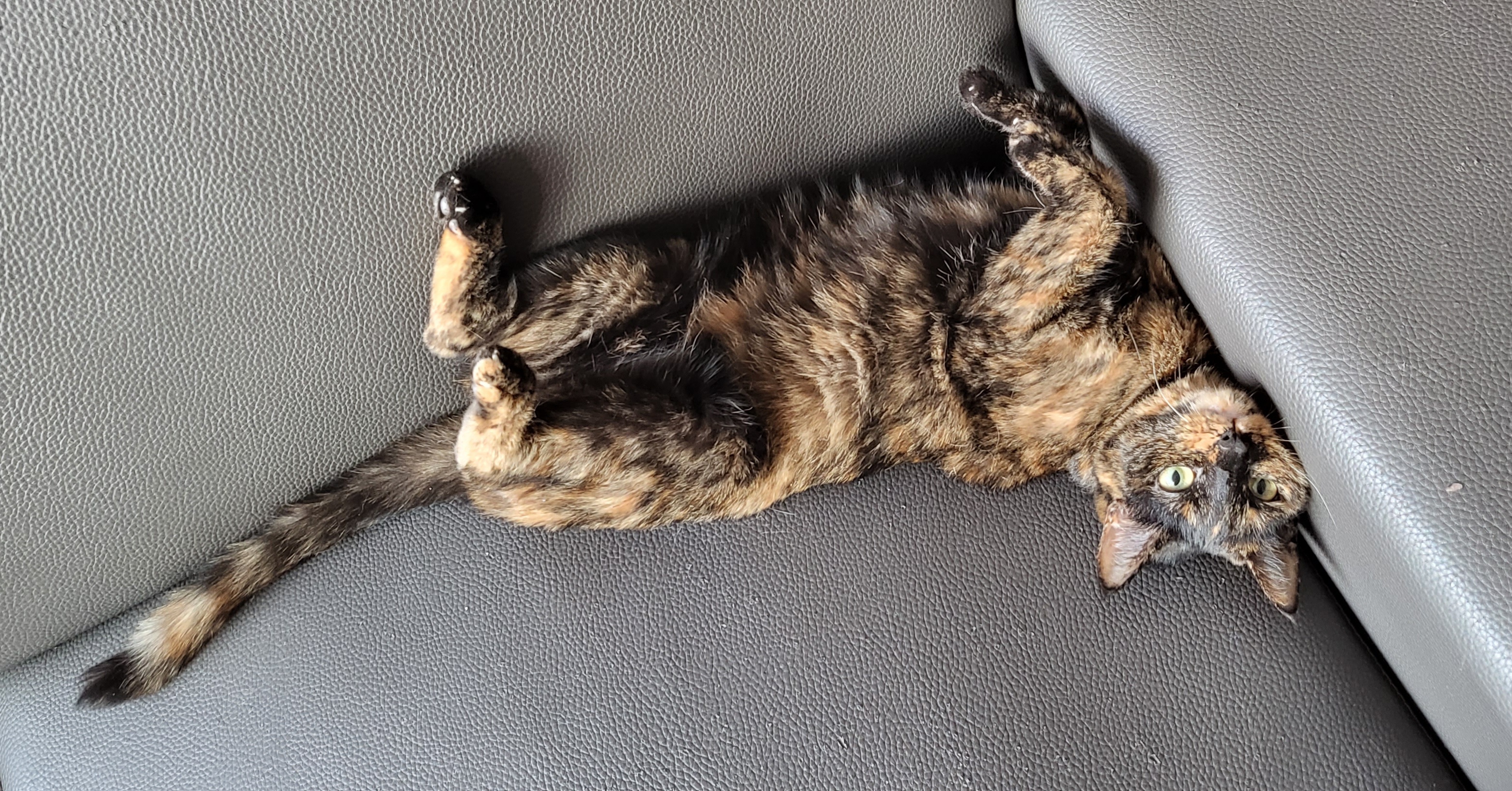 까꿍이 2년 아야기입니다.