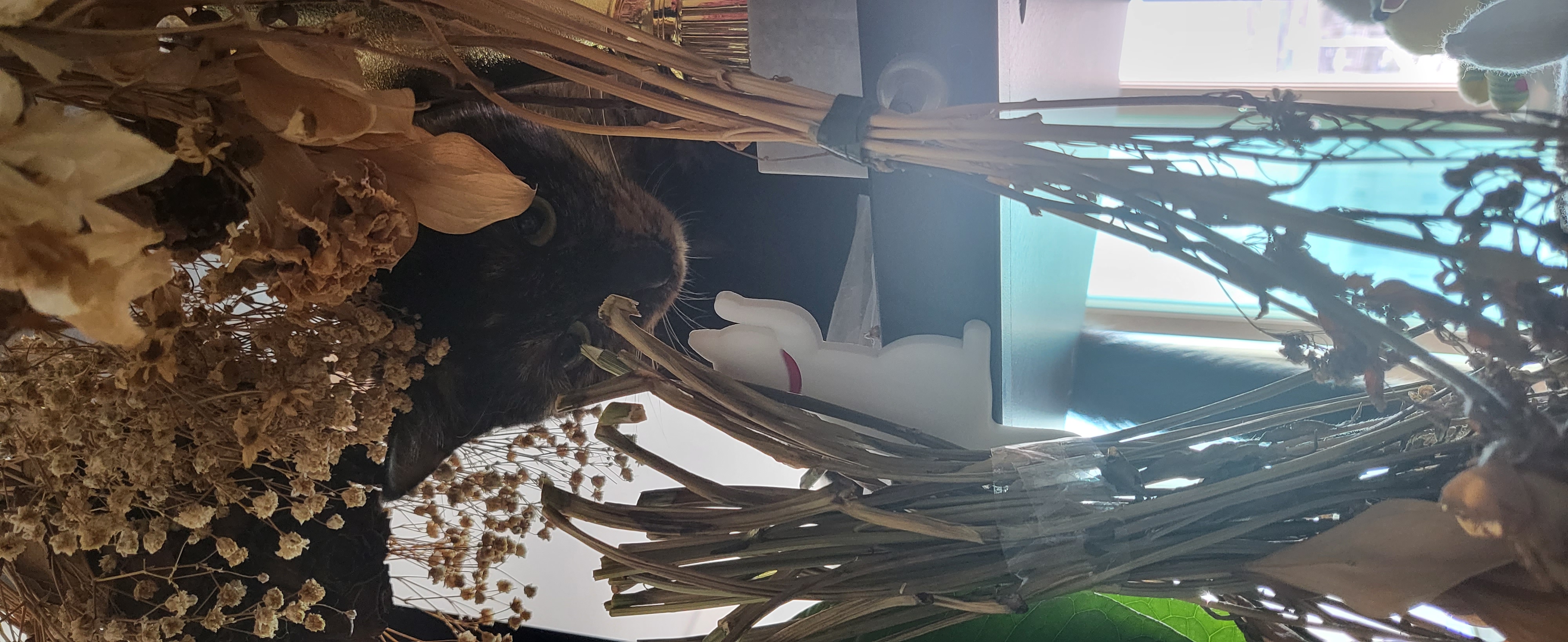 까꿍이 2년 아야기입니다.