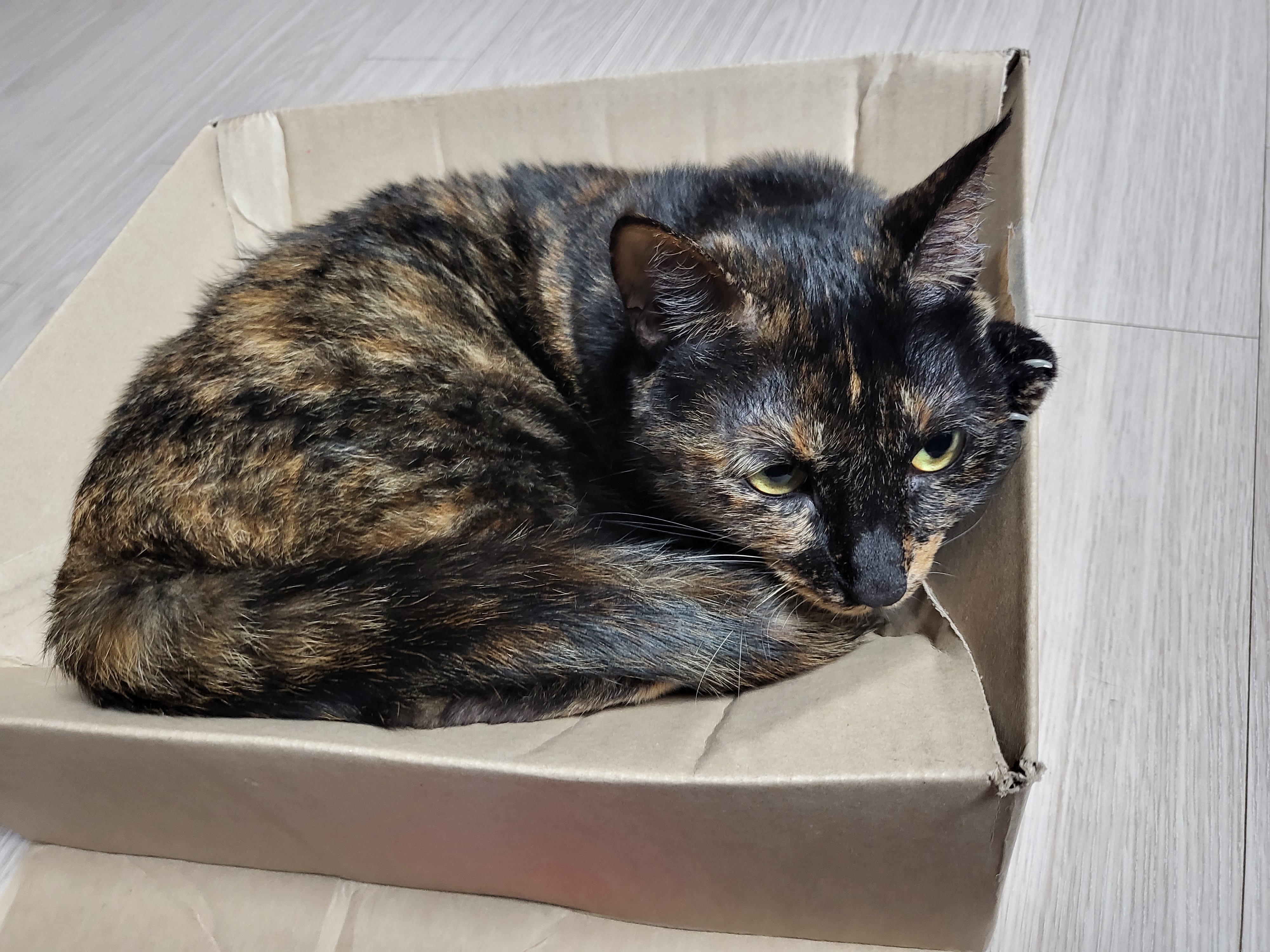 까꿍이 2년 아야기입니다.