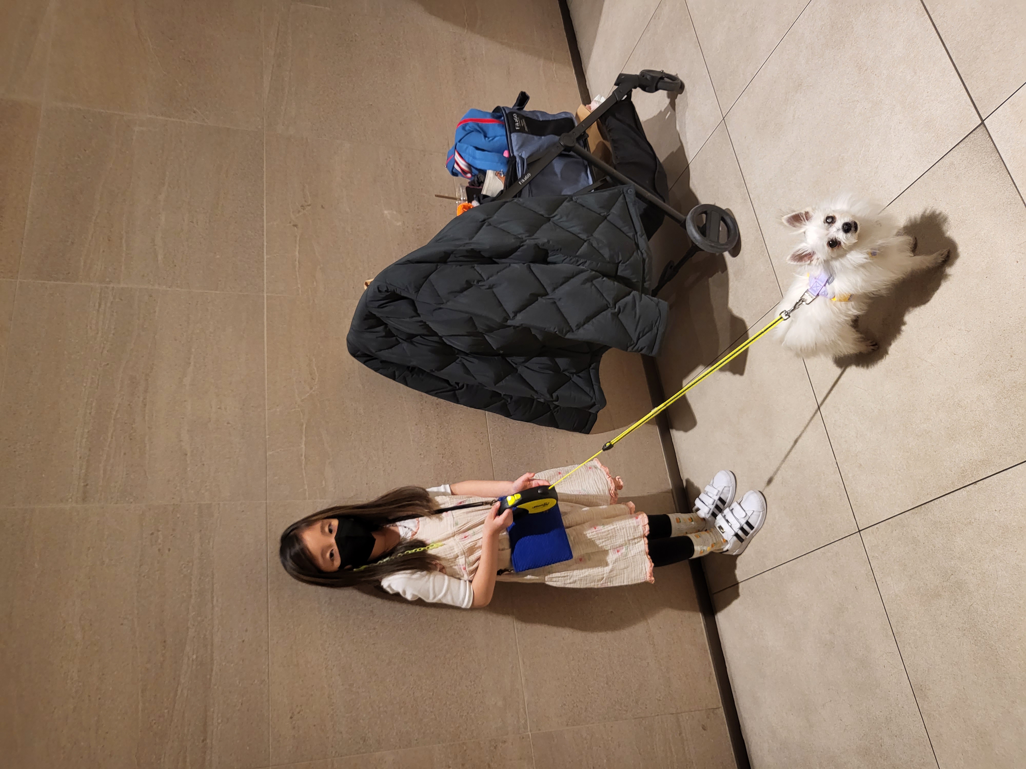 앙쥬 입양 일주일입니다