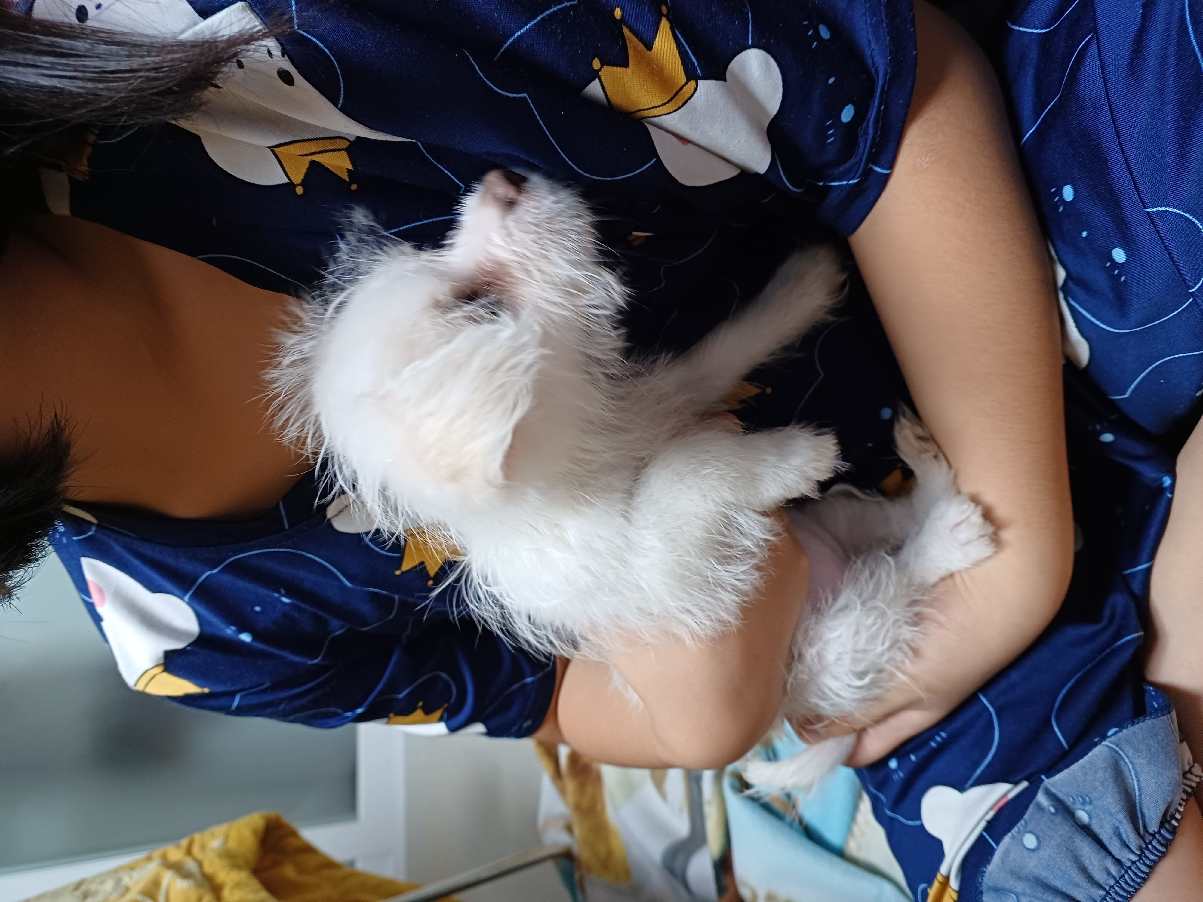 이브(원투) 첫목욕날 입니다.