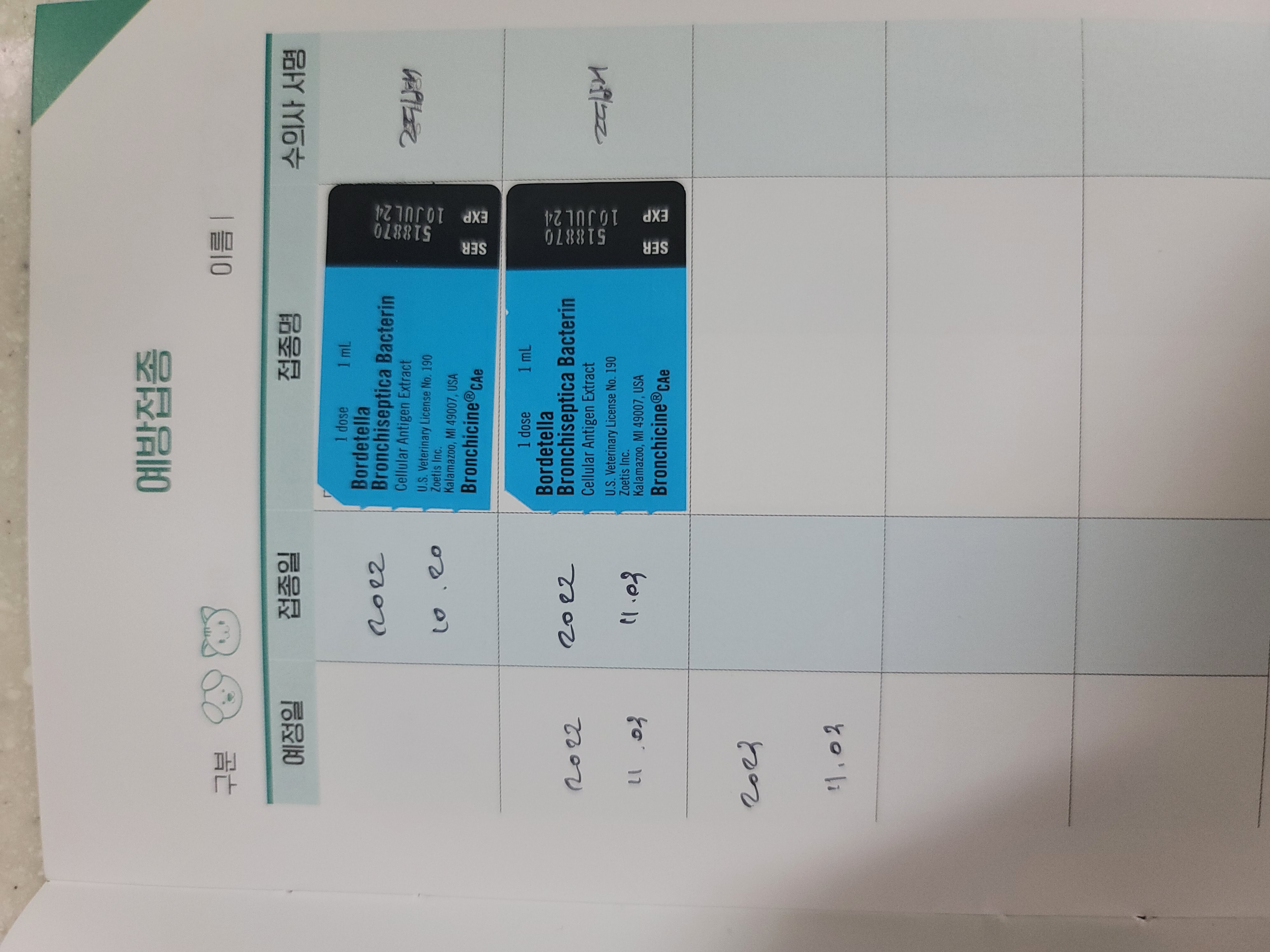 엘디(현 두식이)입양 한달 후기