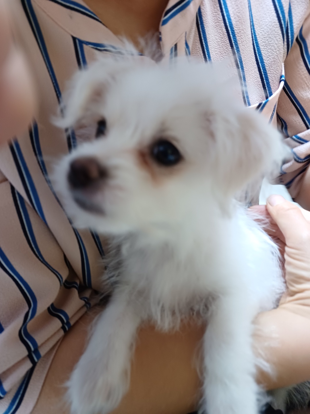 이브(원투) 잘지내고있습니다.