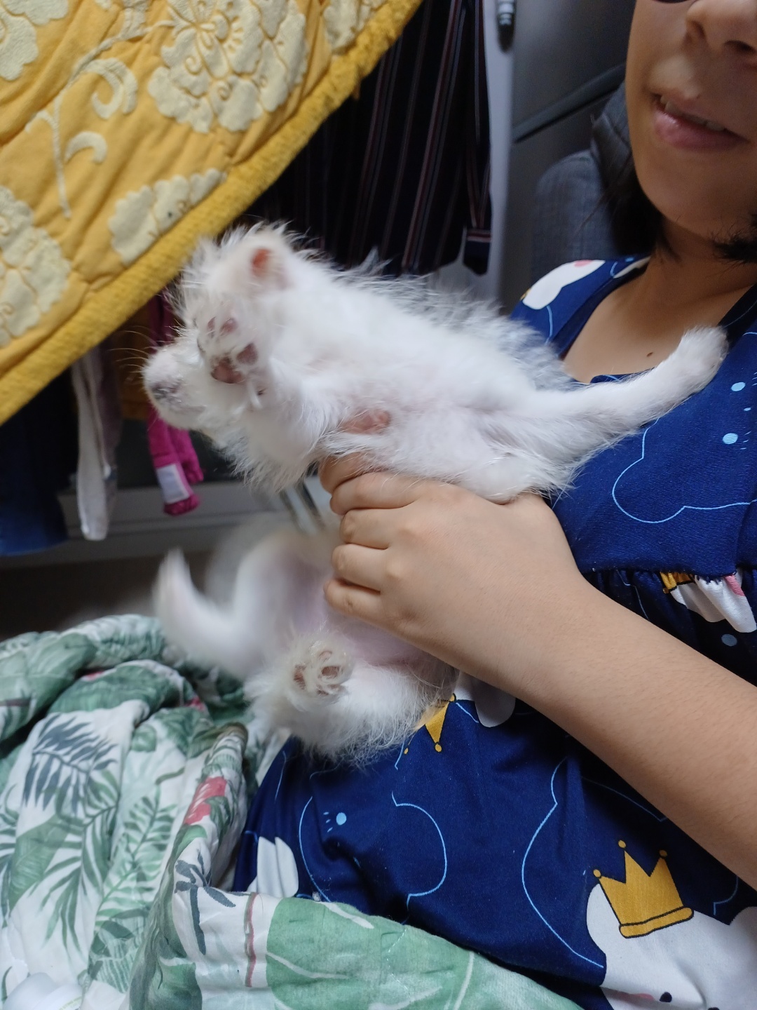 이브(원투) 잘지내고있습니다.