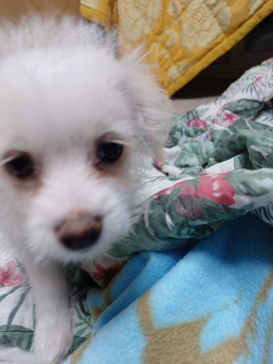 이브(원투) 잘지내고있습니다.