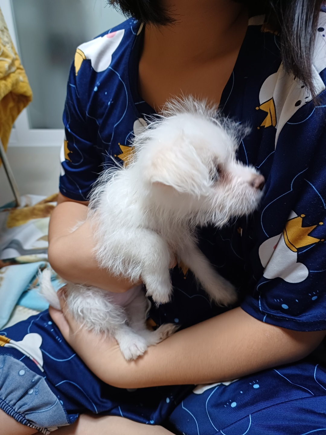 이브(원투) 잘지내고있습니다.