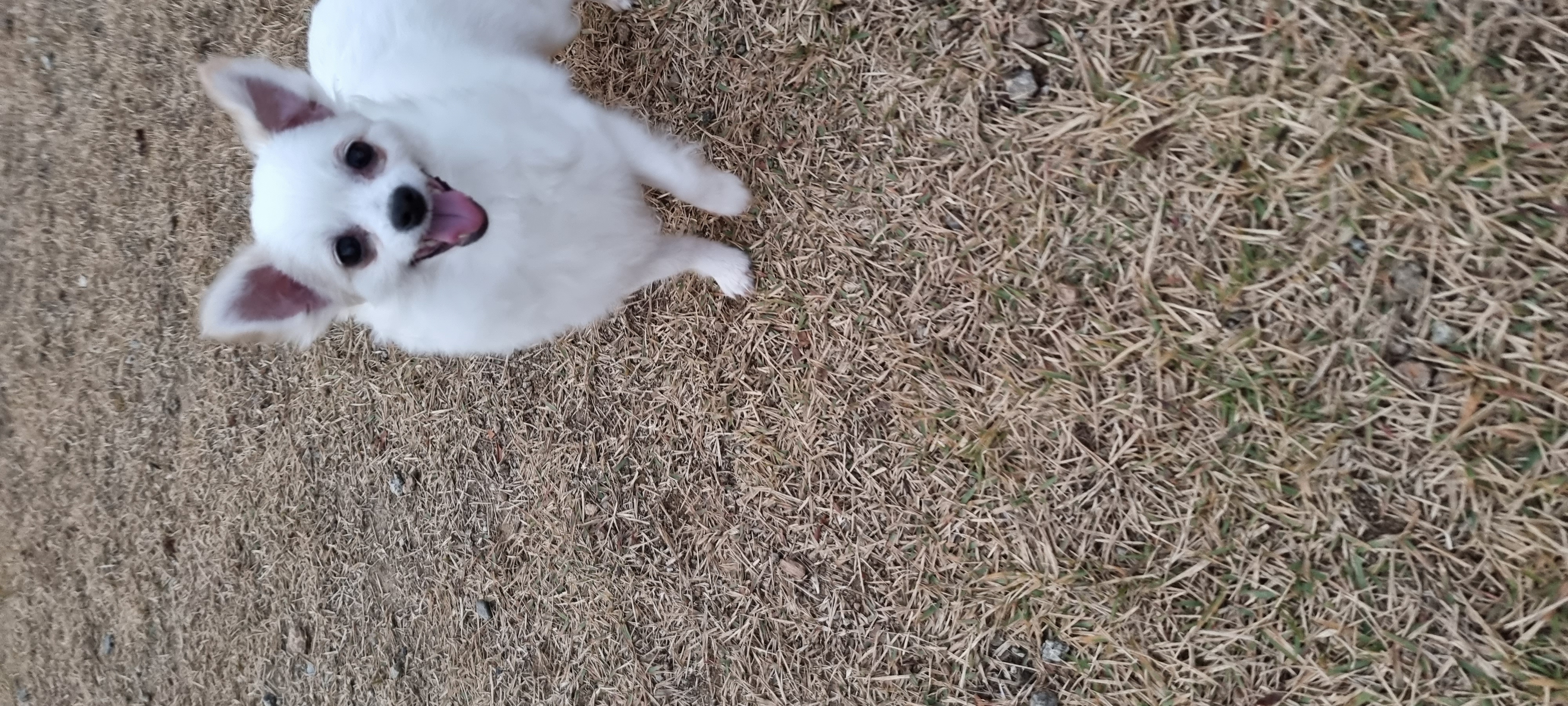 (올리) 3개월 됐어요