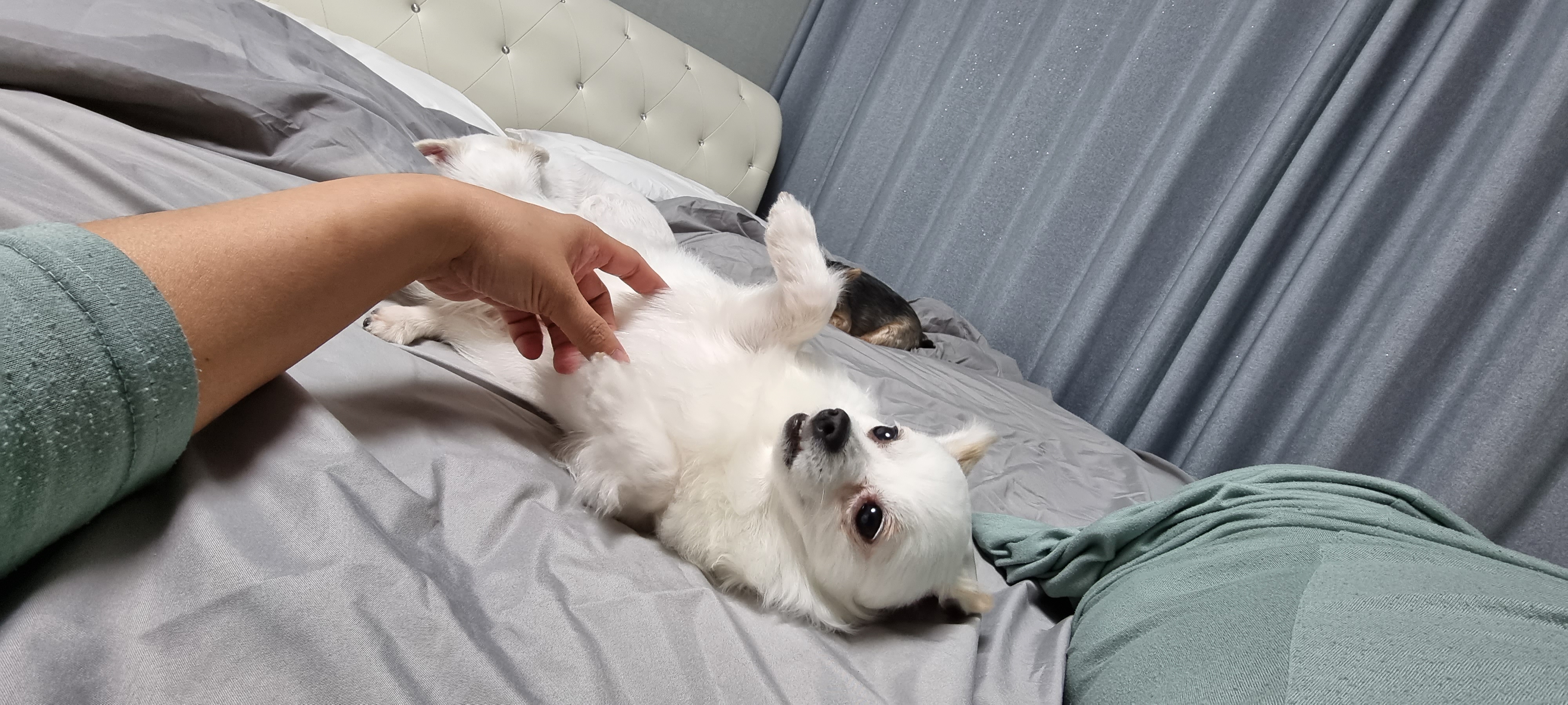 (올리) 3개월 됐어요