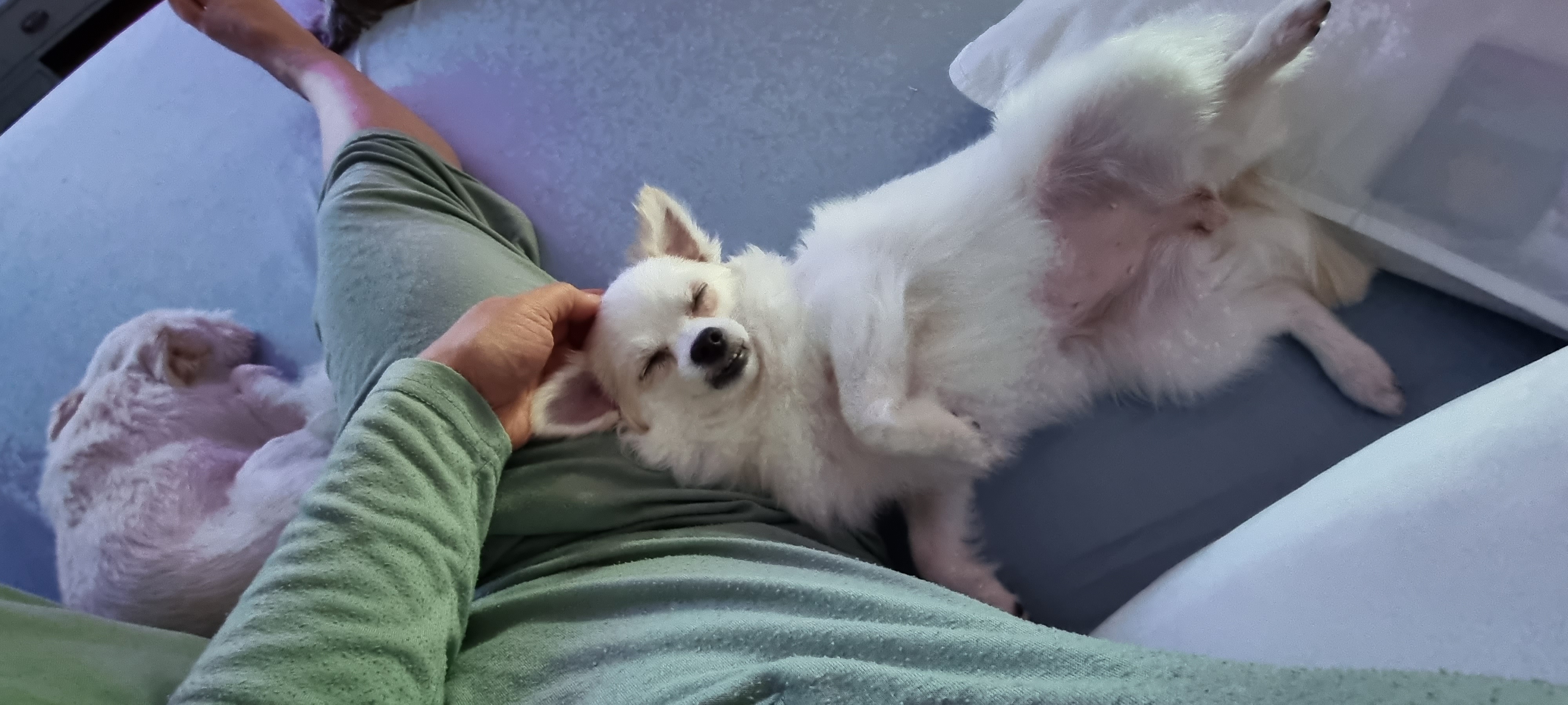 (올리) 3개월 됐어요