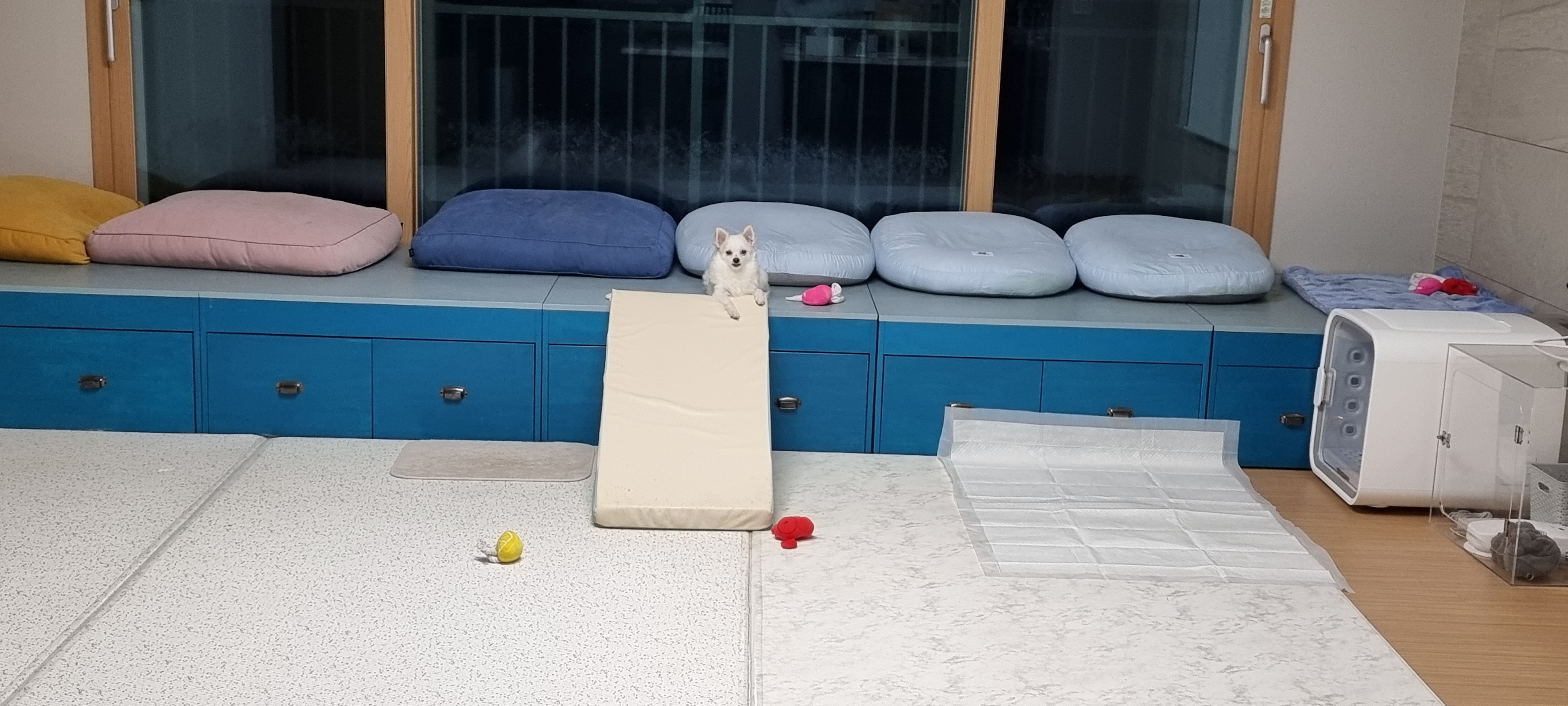 (올리) 3개월 됐어요