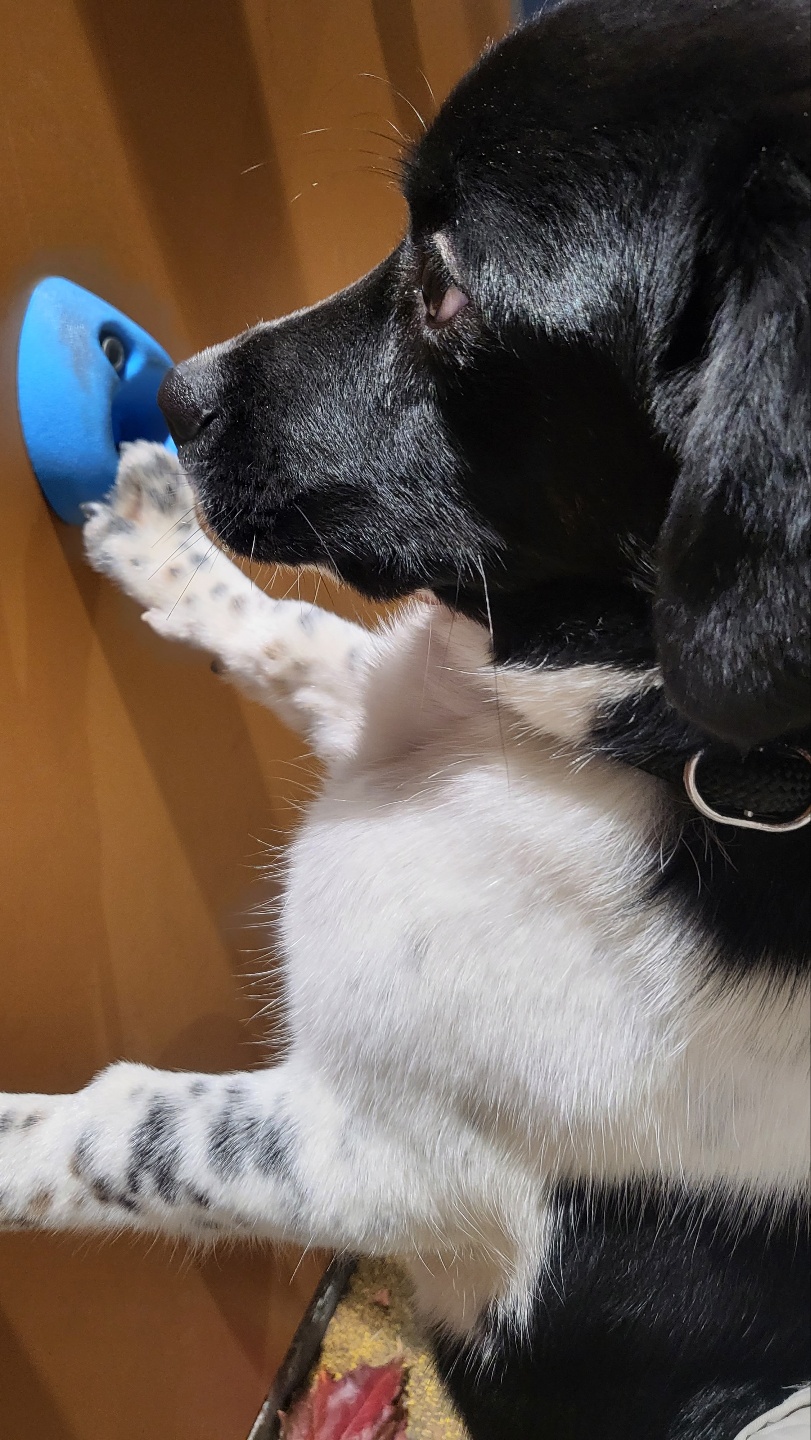 첸첸이~일상이야기