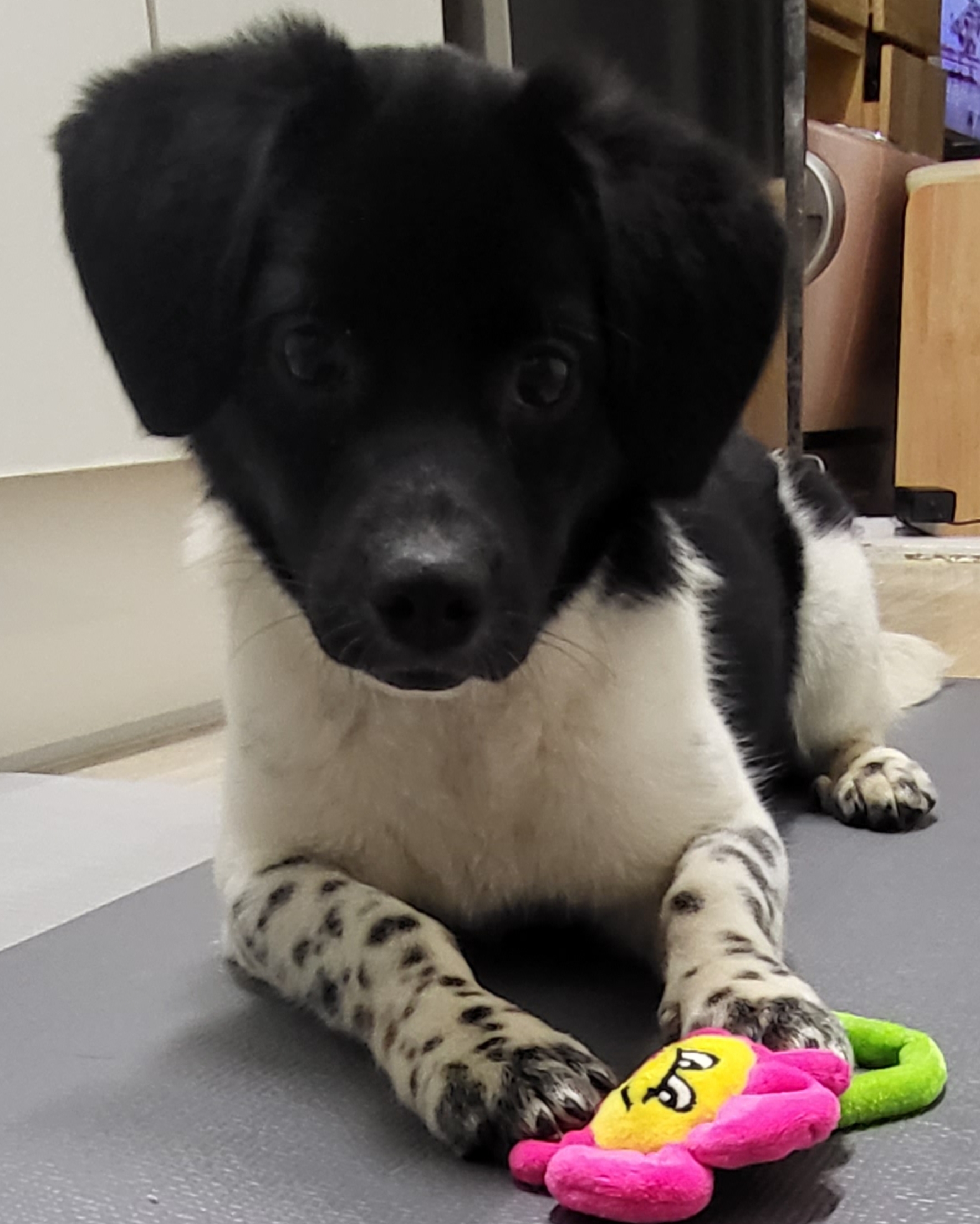 첸첸이~일상이야기