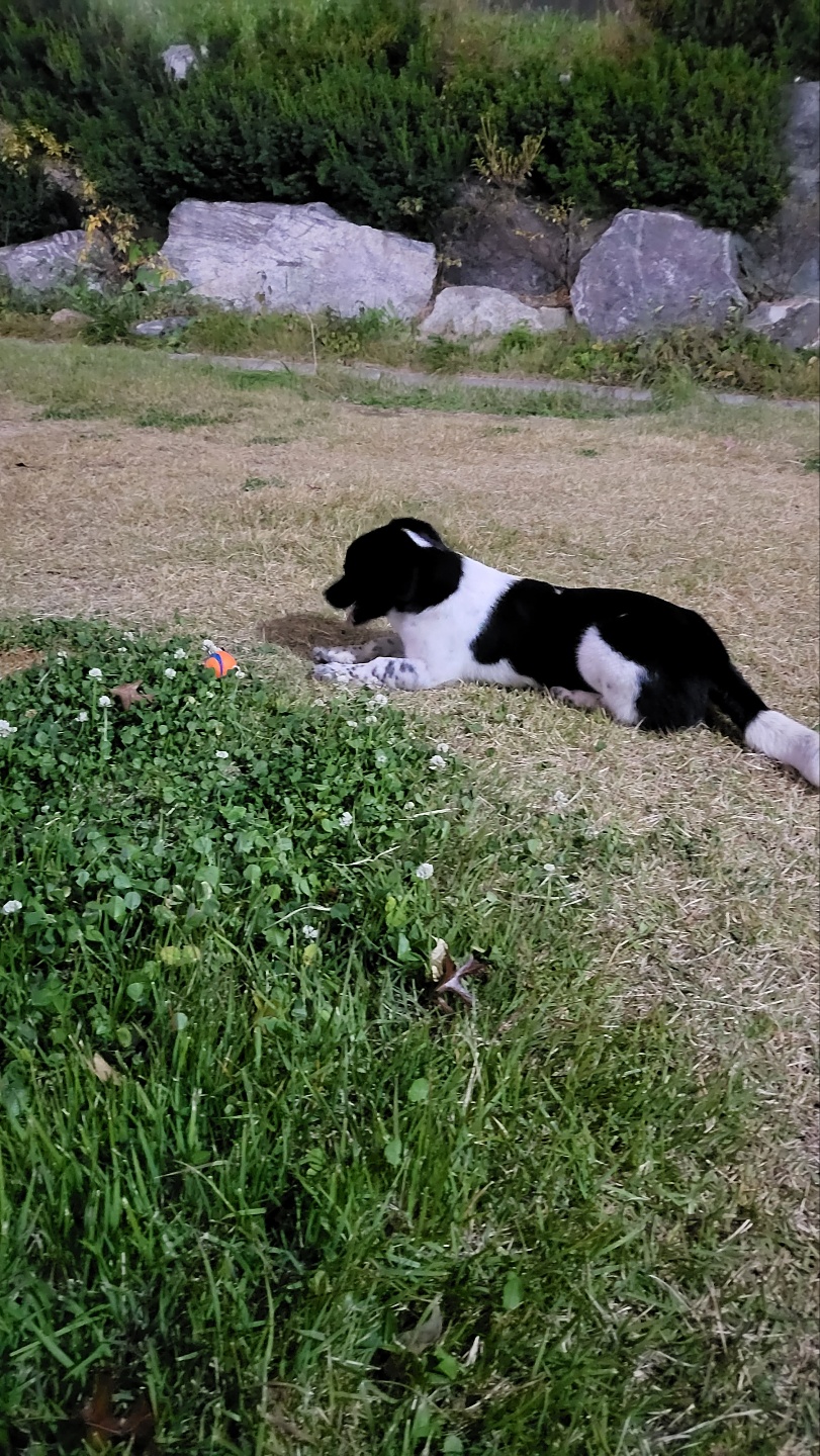 첸첸이~일상이야기