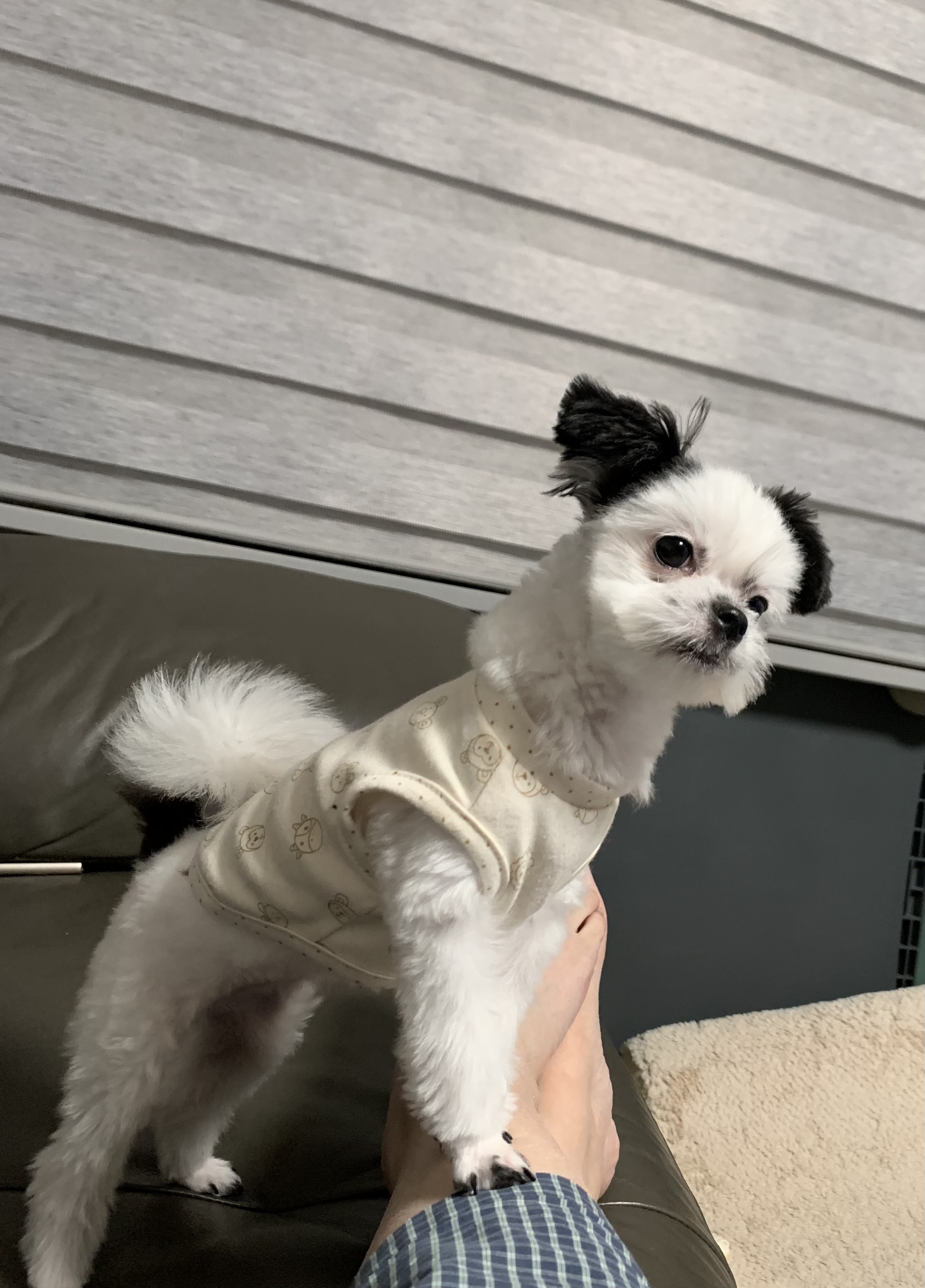 갈래 잘 지내고 있어요~~