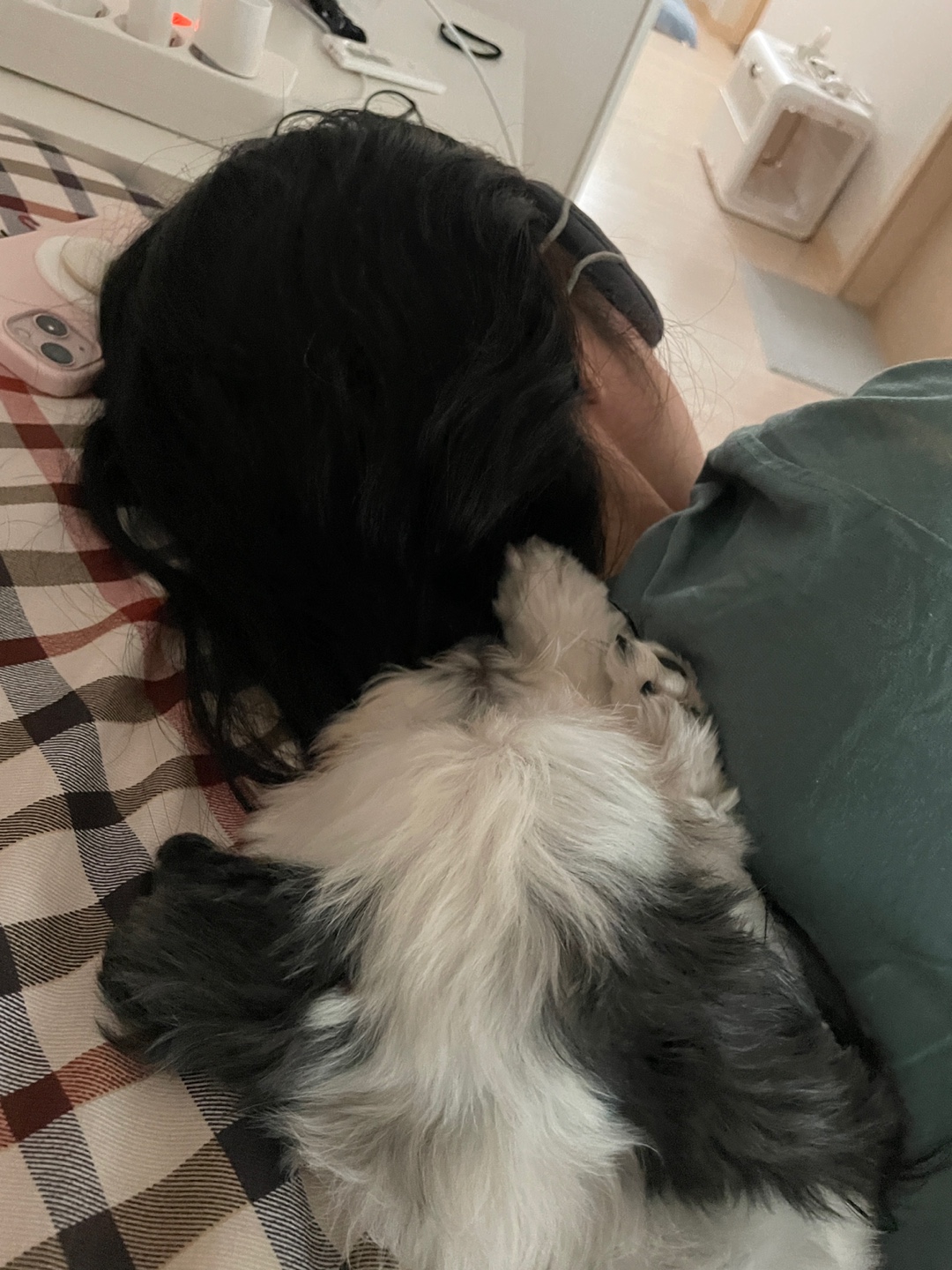 비뭉이(현 밀리) 입양 3개월 후기