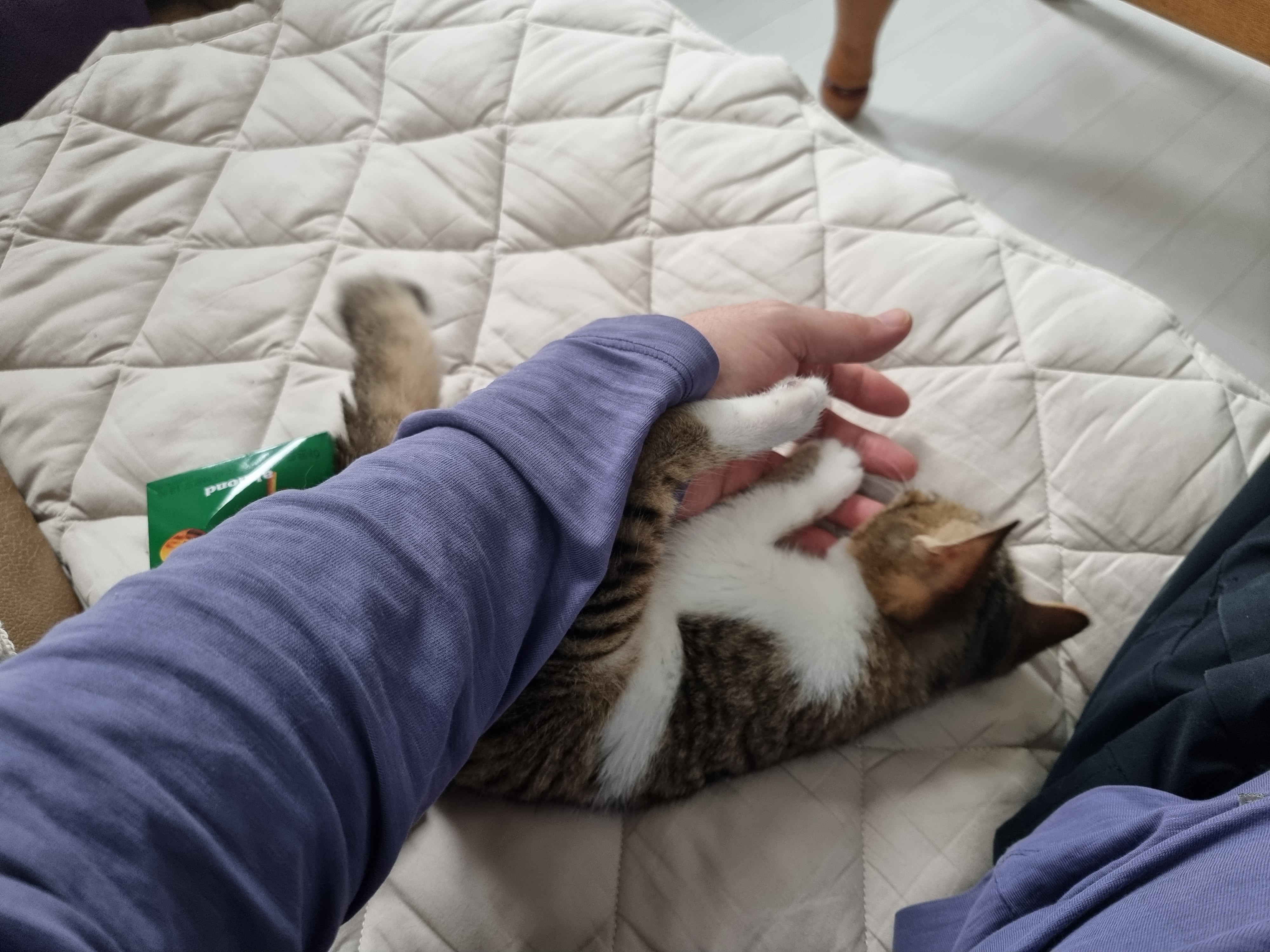 춘식이(루돌프) 입양 일주일