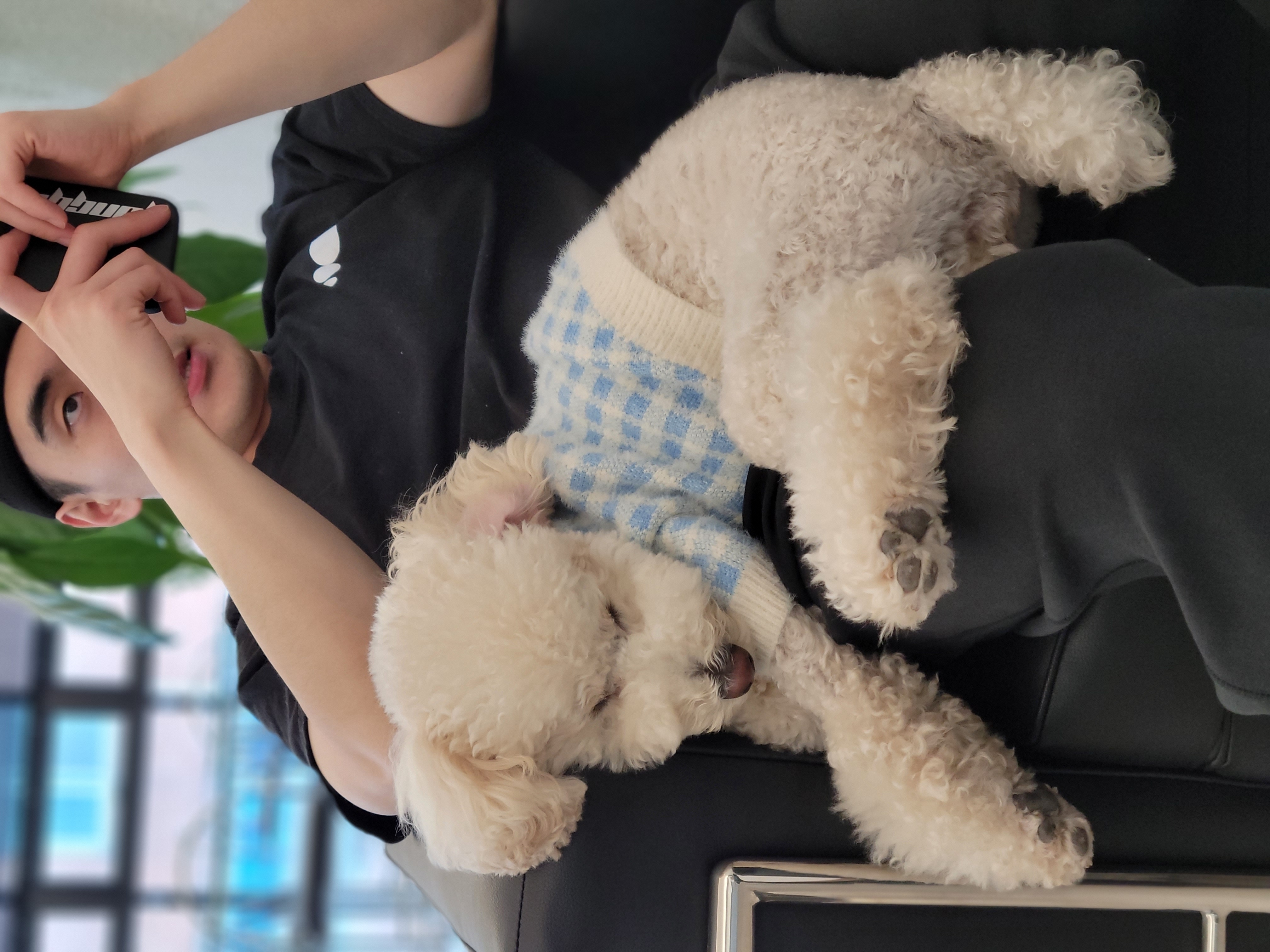 보리  (곤지암푸사) 1년11개월