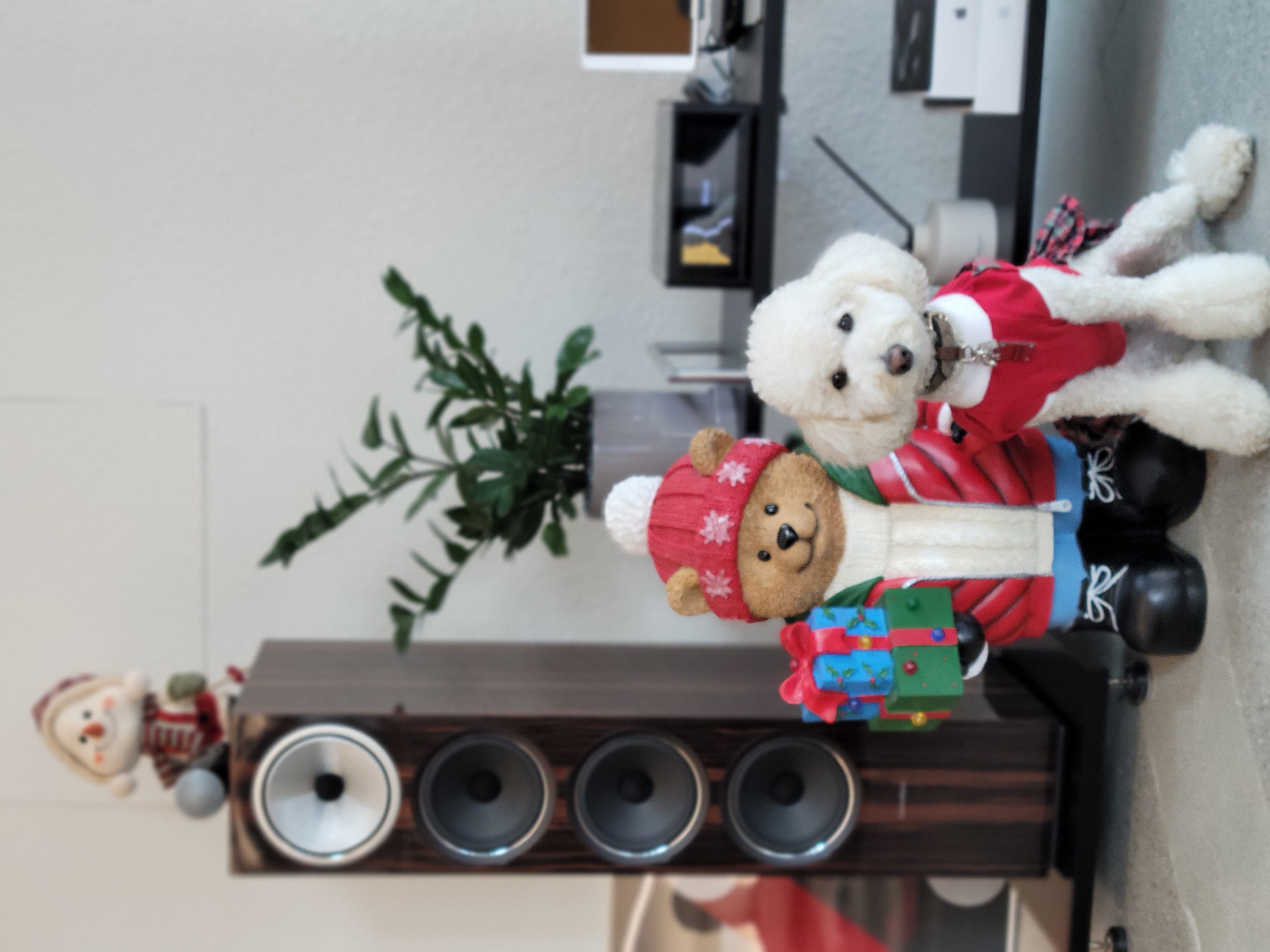 보리  (곤지암푸사) 1년11개월