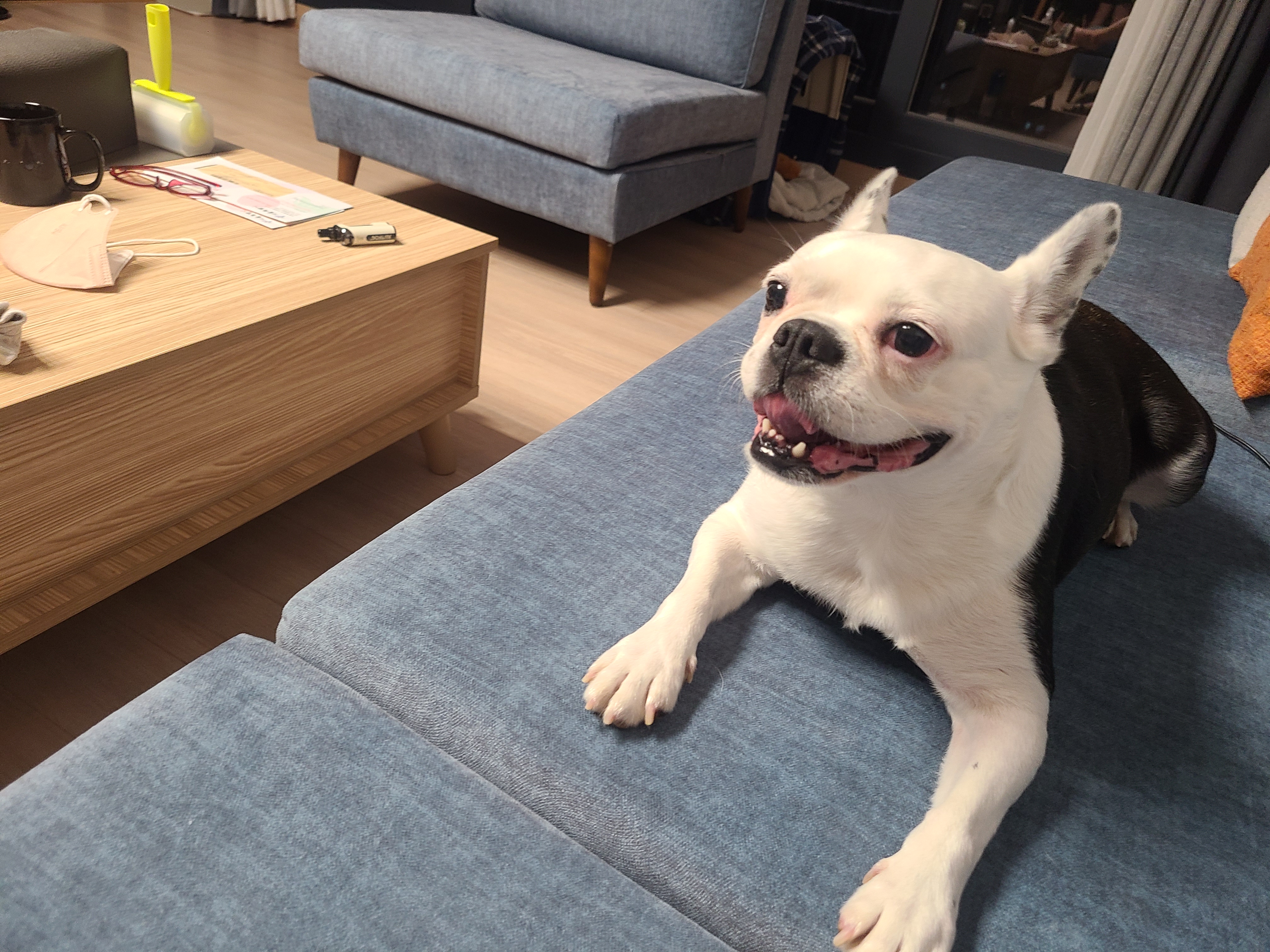 애둥이 아홉 달^^