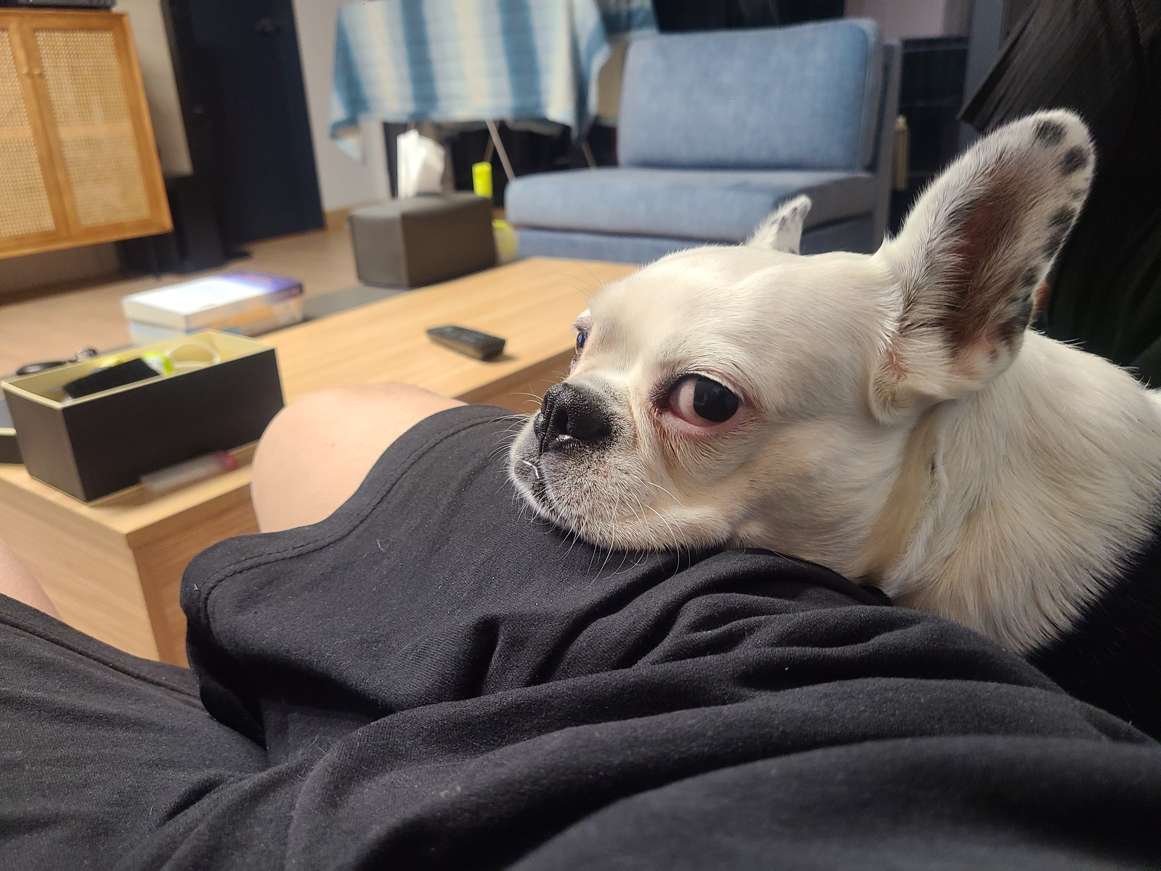 애둥이 아홉 달^^