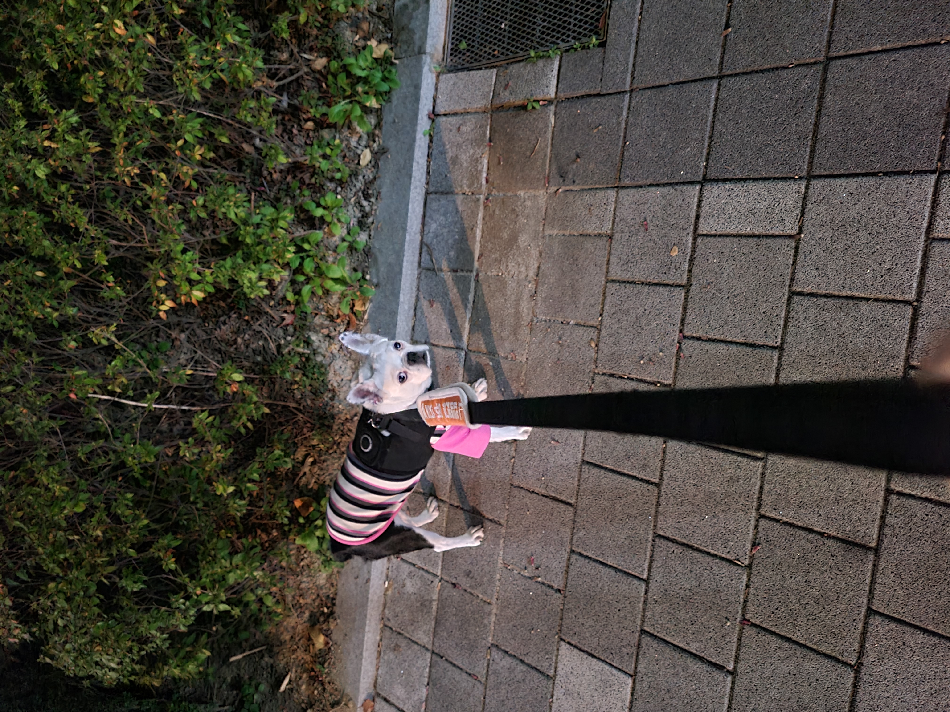 애둥이 아홉 달^^