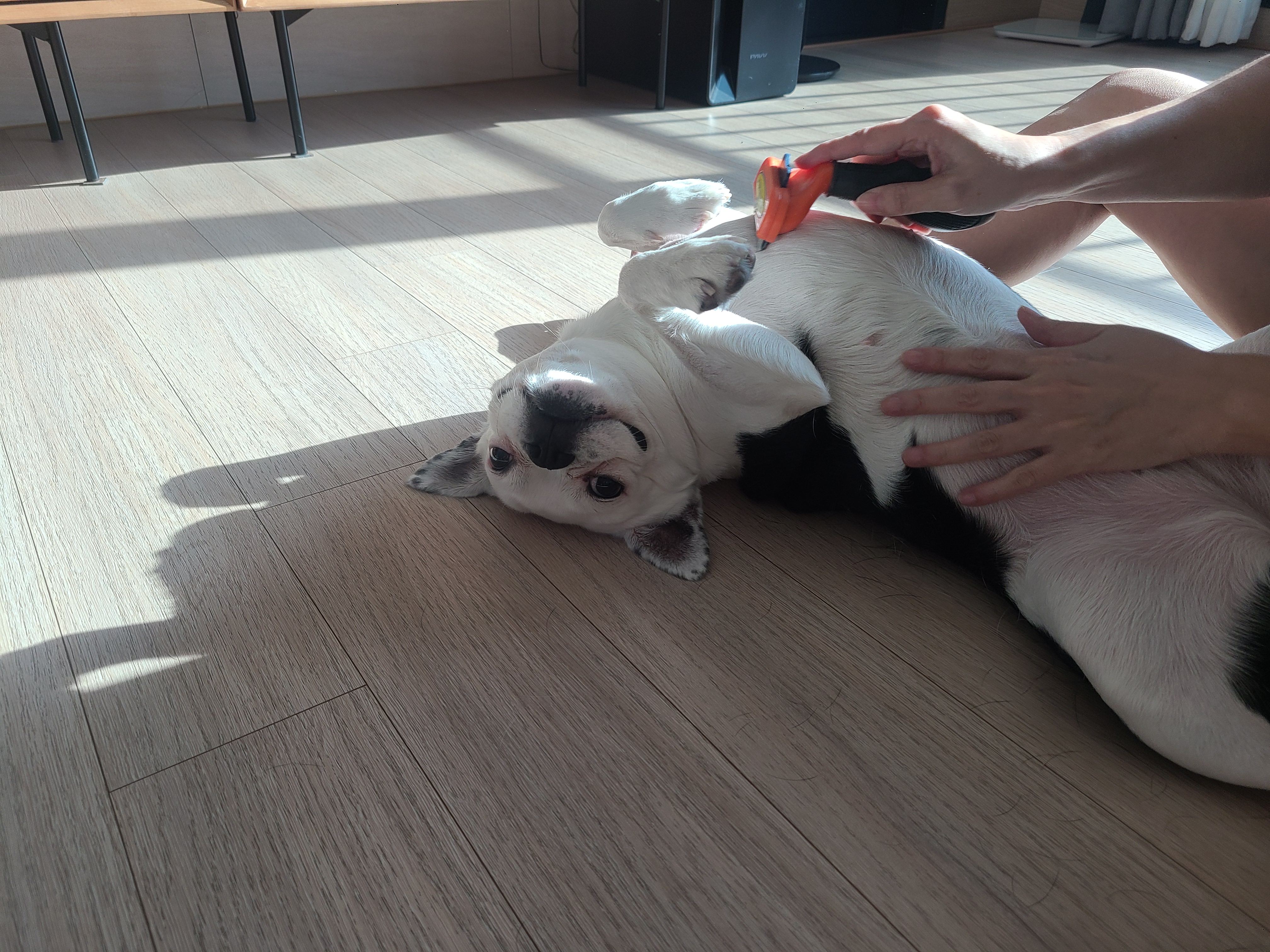 애둥이 아홉 달^^