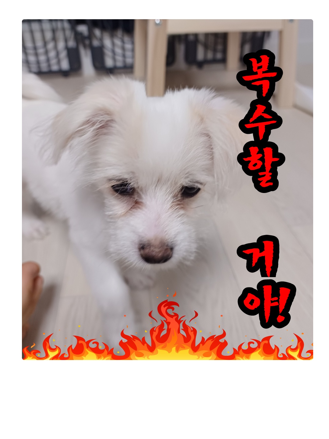 이브(원투) 잘 지내고있습니다.