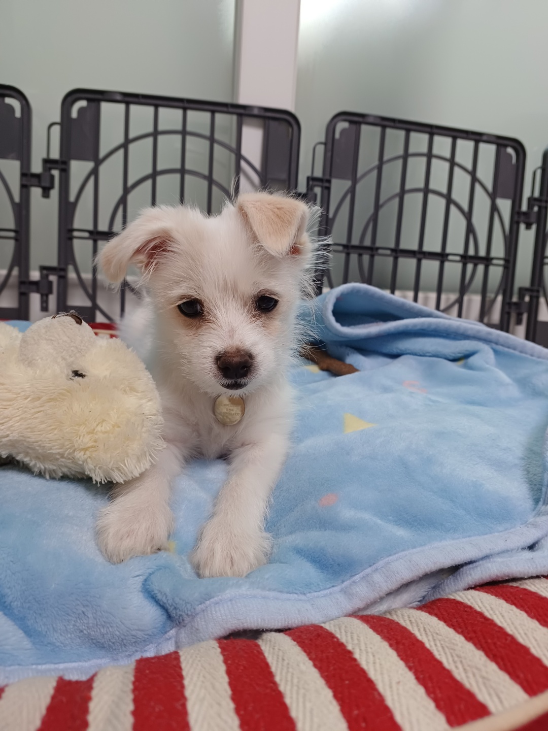 이브(원투) 잘 지내고있습니다.