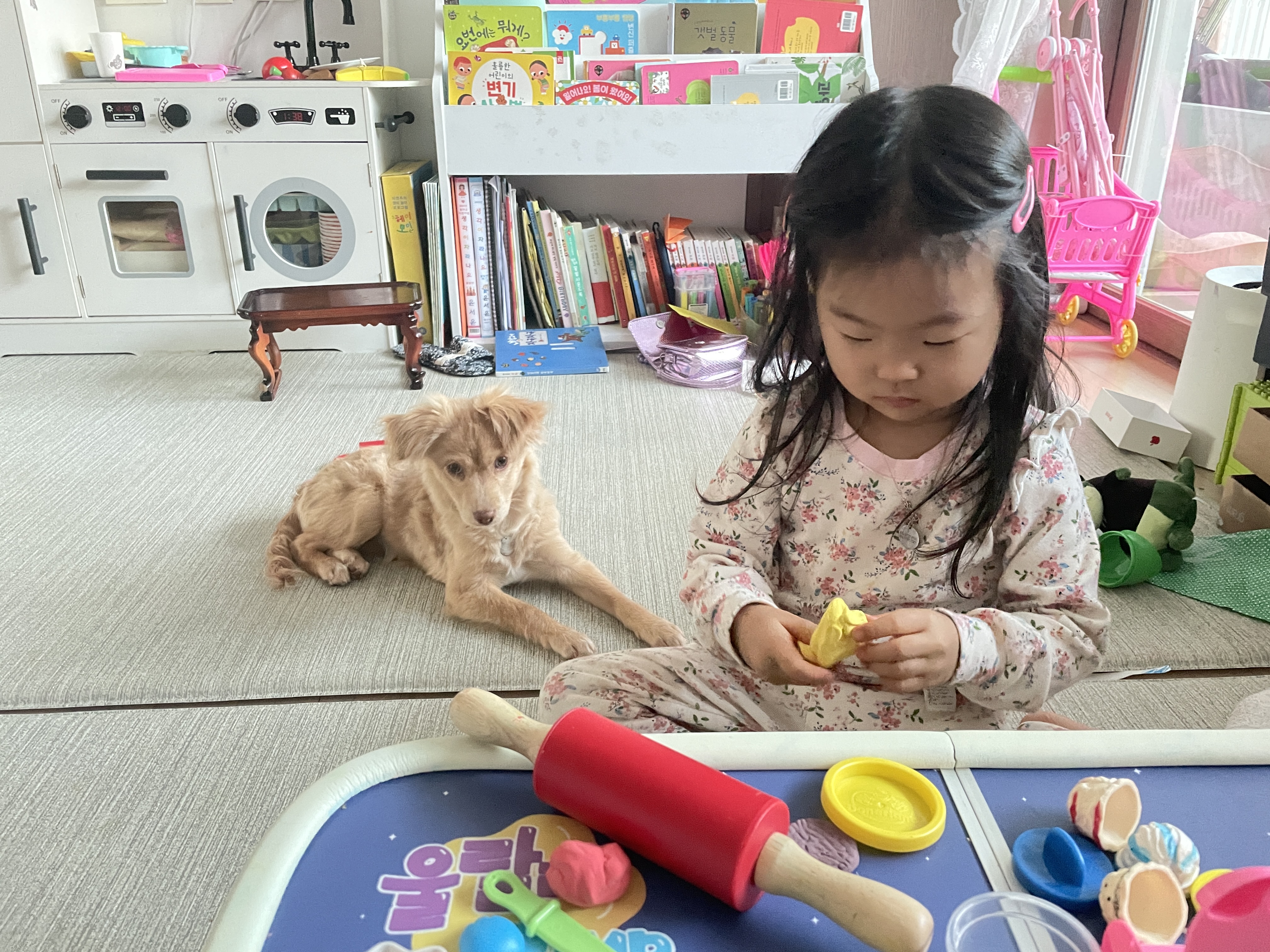 똥꼬발랄 세리 잘 지내용