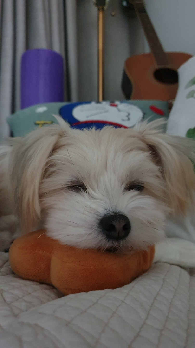 산쵸(오유) 잘 지내고 있습니다~!