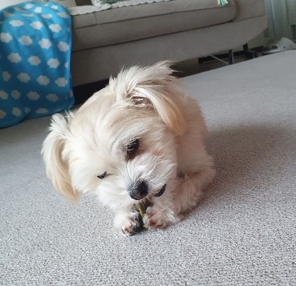 산쵸(오유) 잘 지내고 있습니다~!