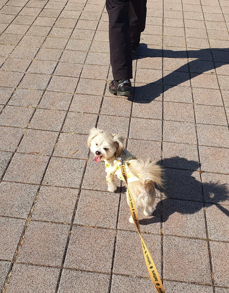 산쵸(오유) 잘 지내고 있습니다~!