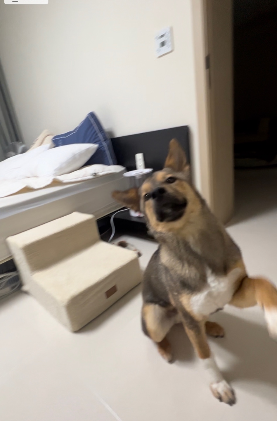 (구, 강식) 테오의 한달 적응 일기