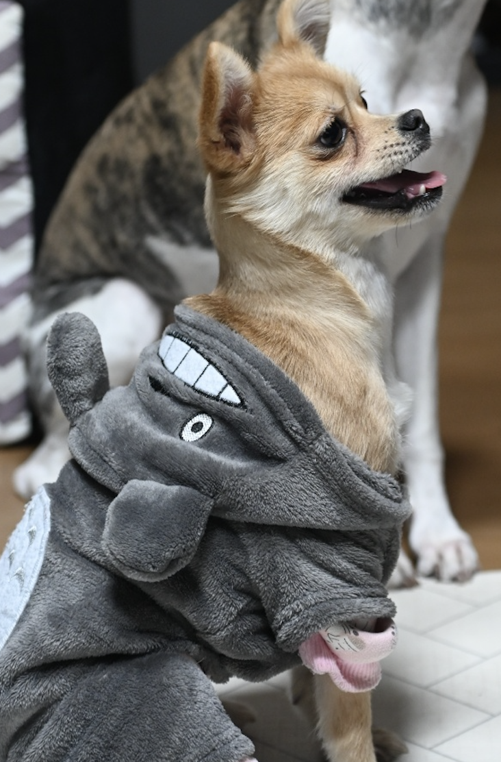 미로(구 오원) 3개월 이야기