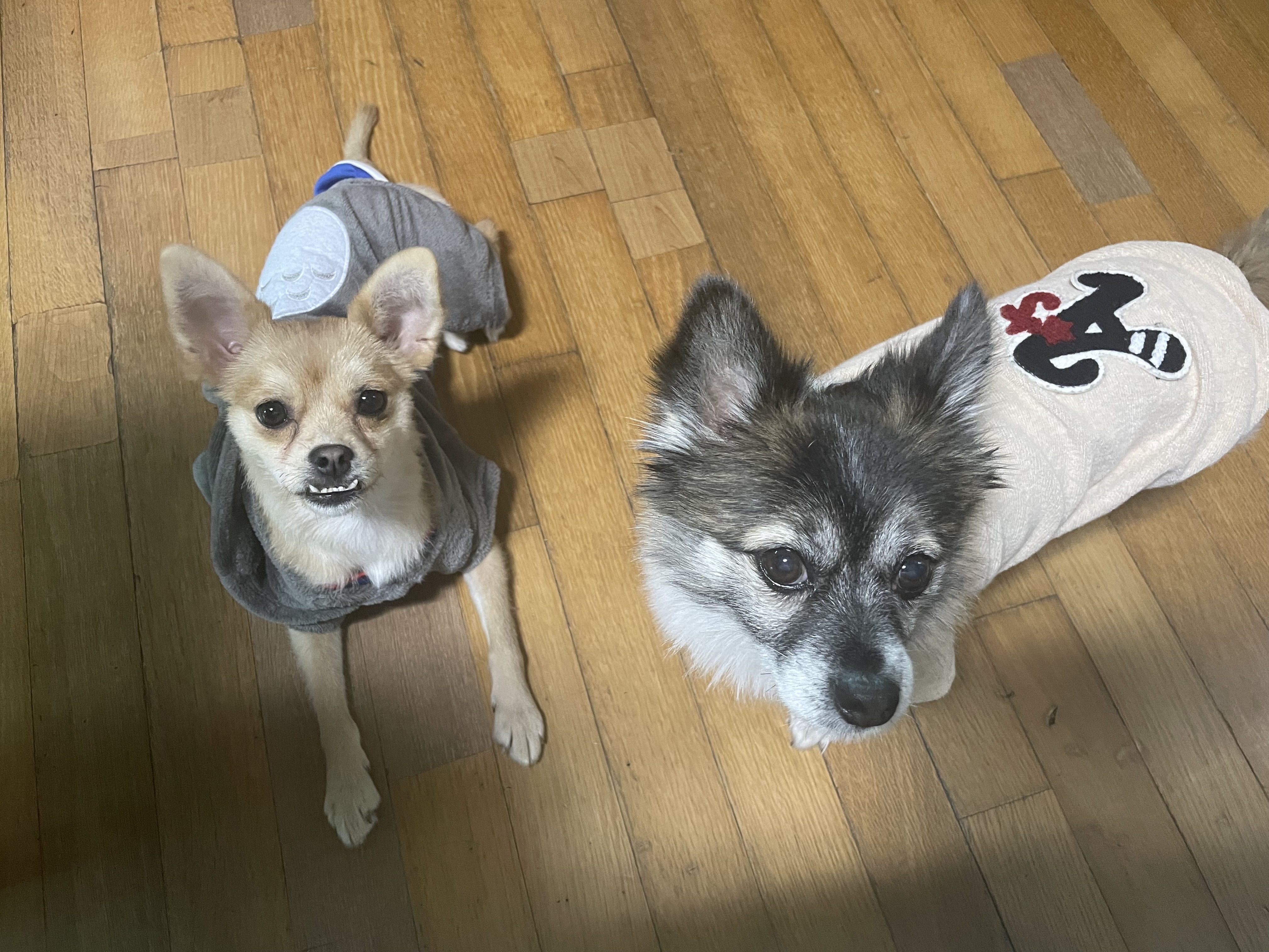 미로(구 오원) 3개월 이야기