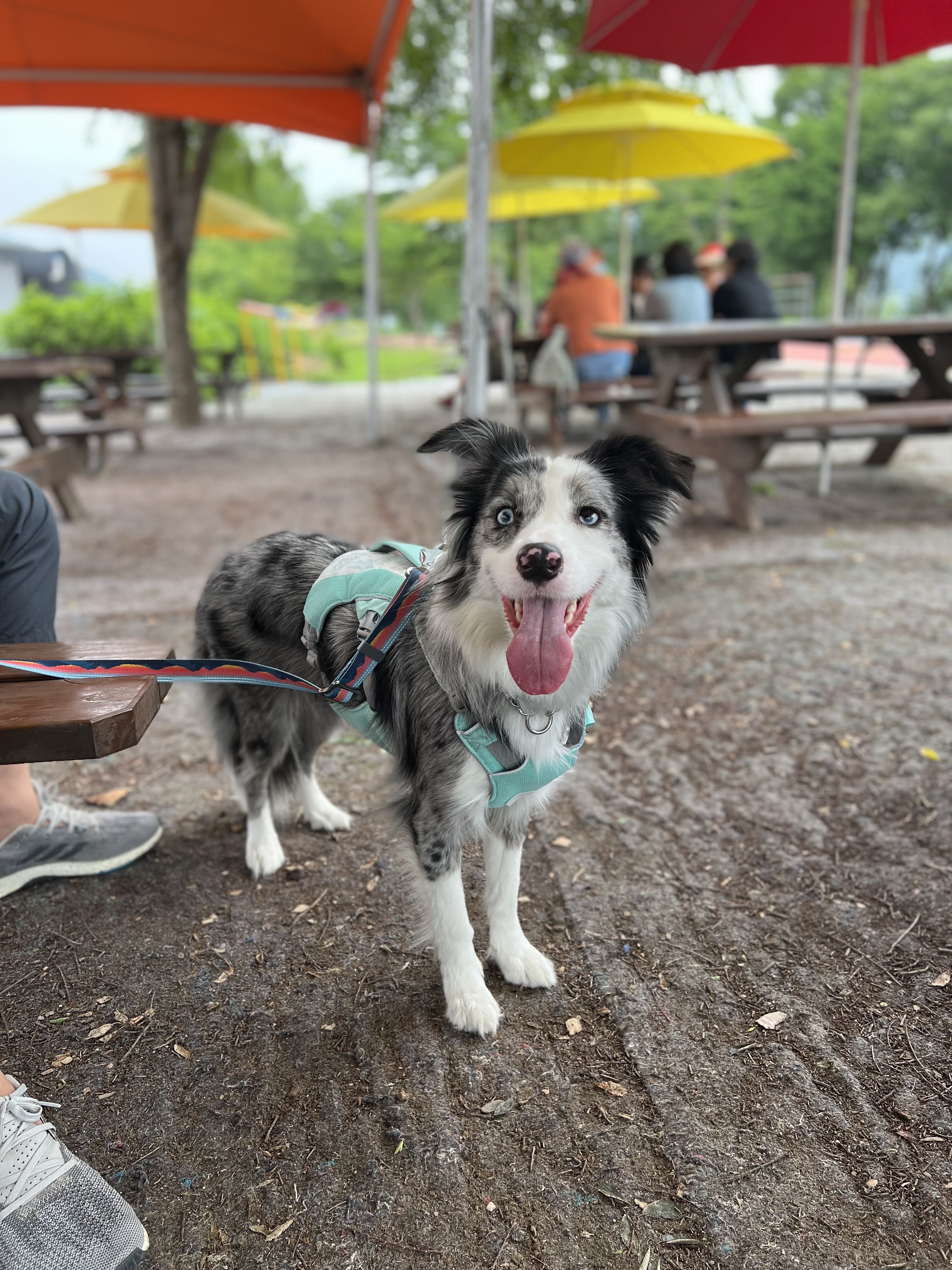 샤인이와 벌써 2년