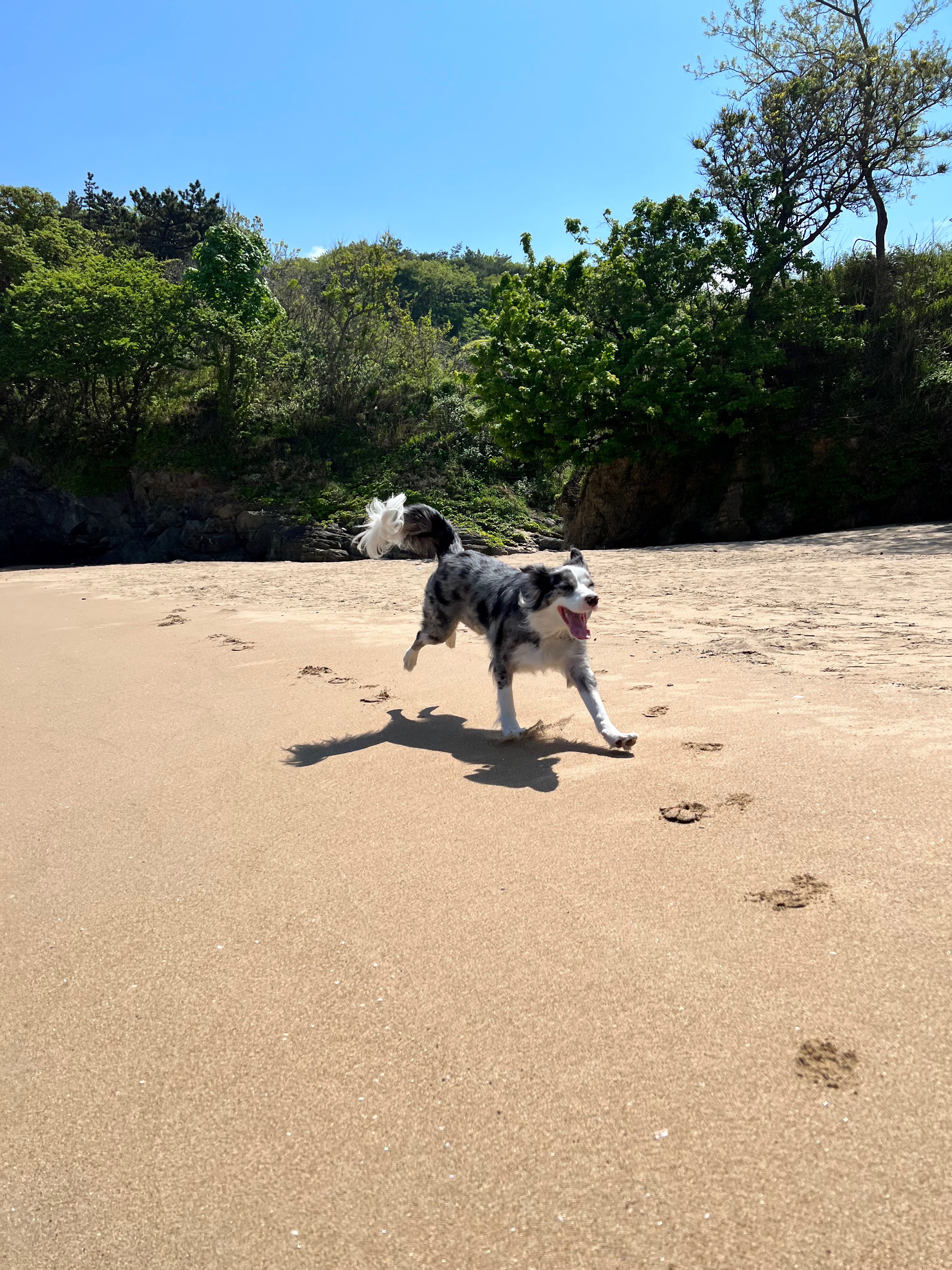 샤인이와 벌써 2년