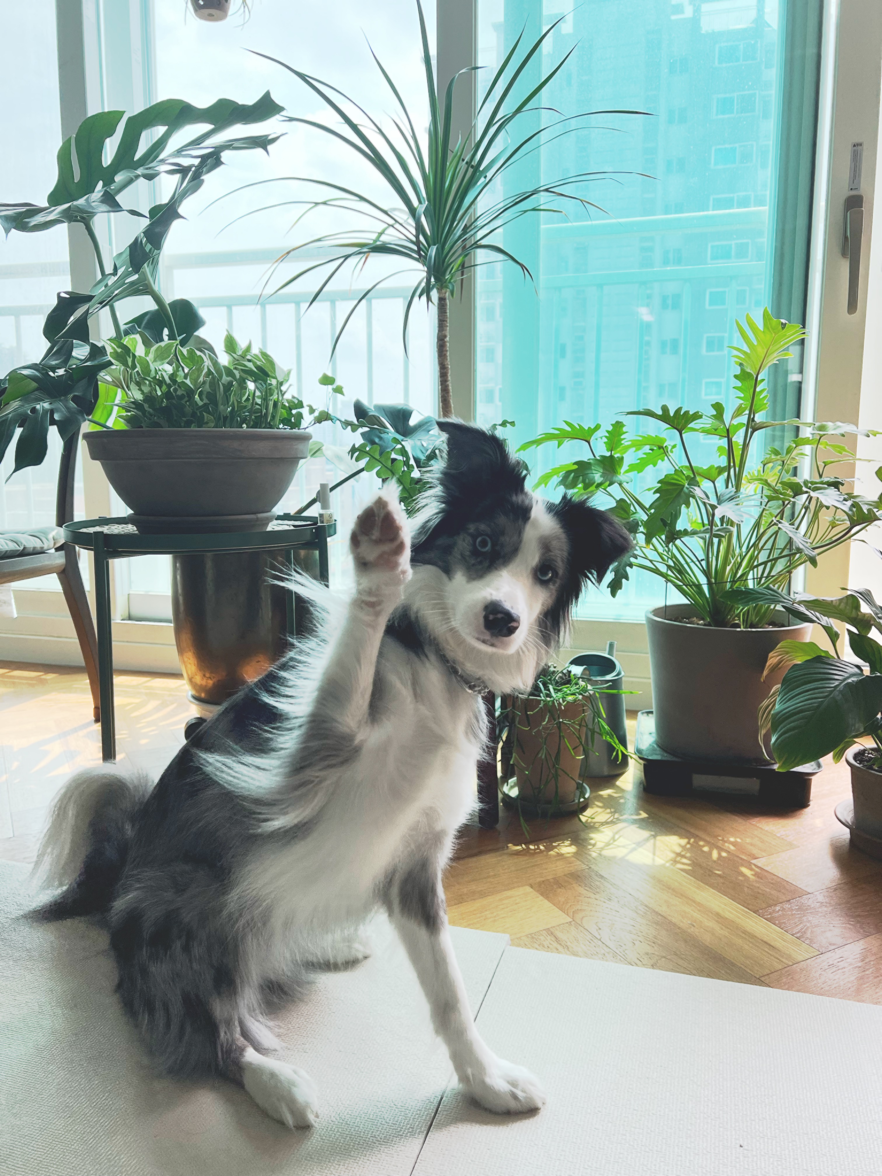 샤인이와 벌써 2년