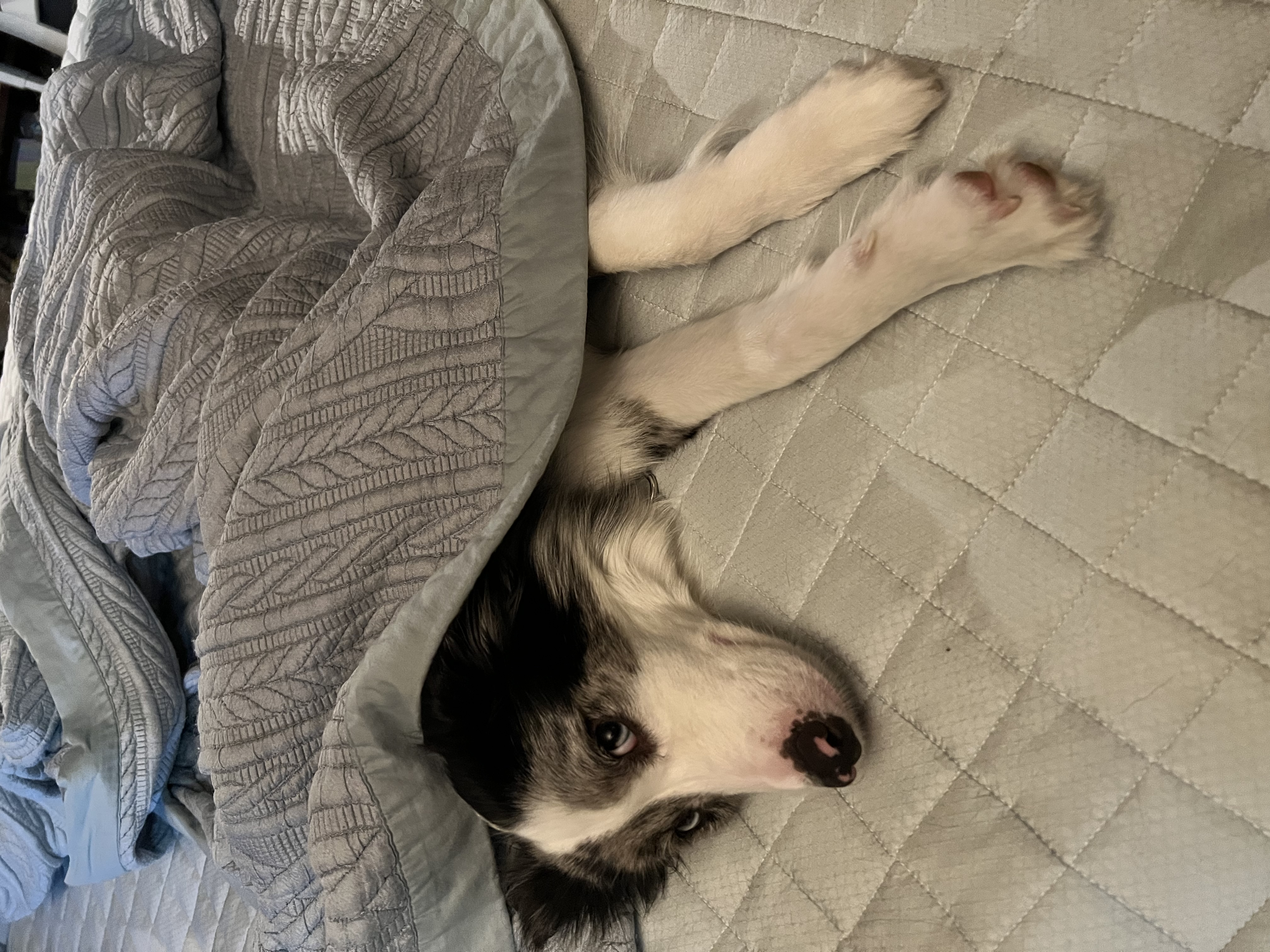 샤인이와 벌써 2년