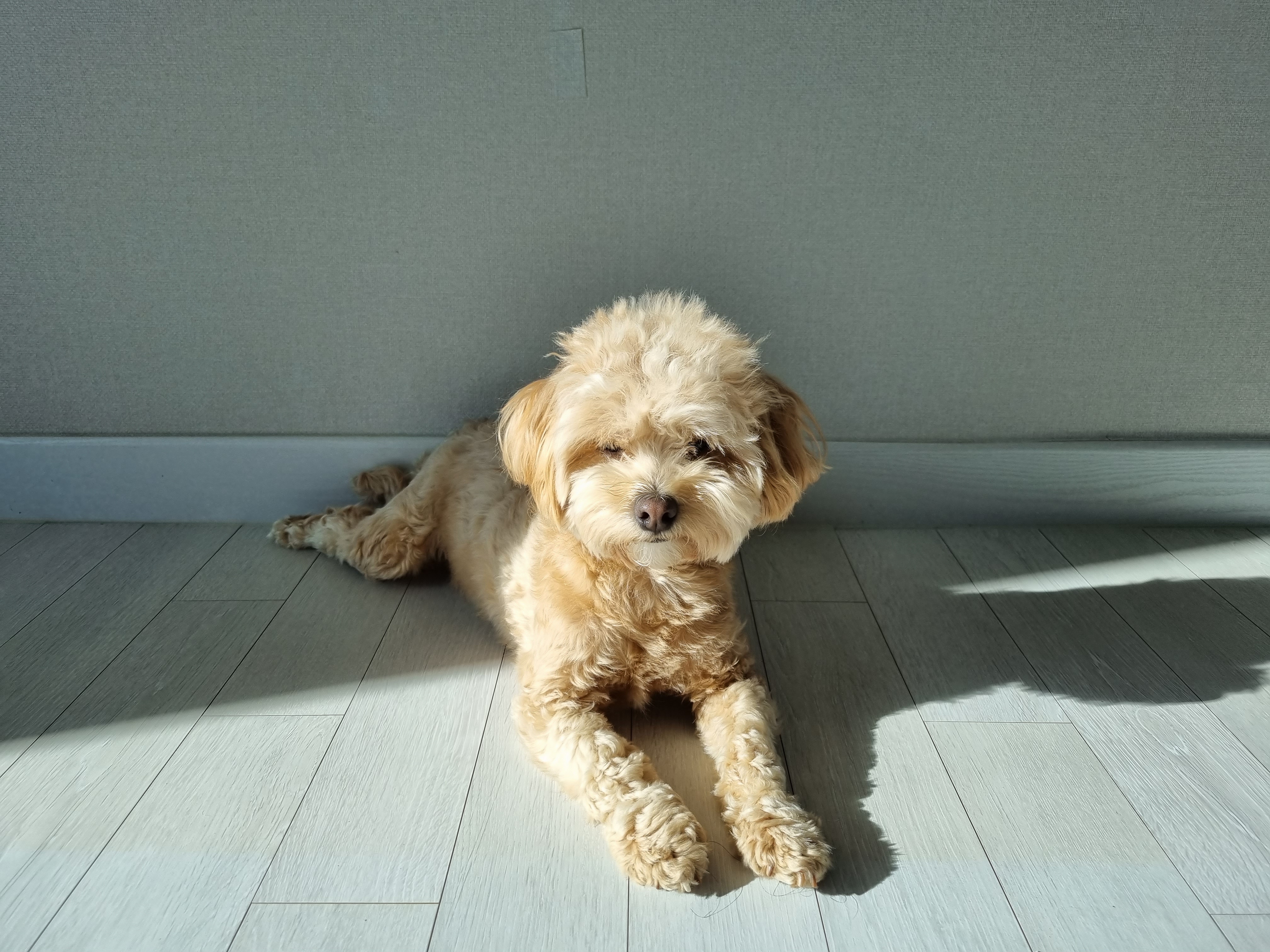 사랑스런 감자에요^^