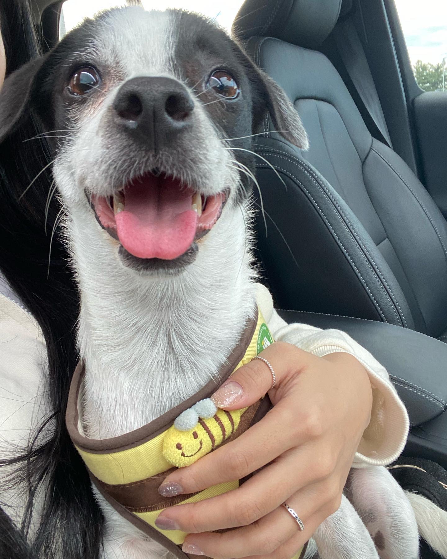 아키(하얀이)가 온지 1년이 됐어요!