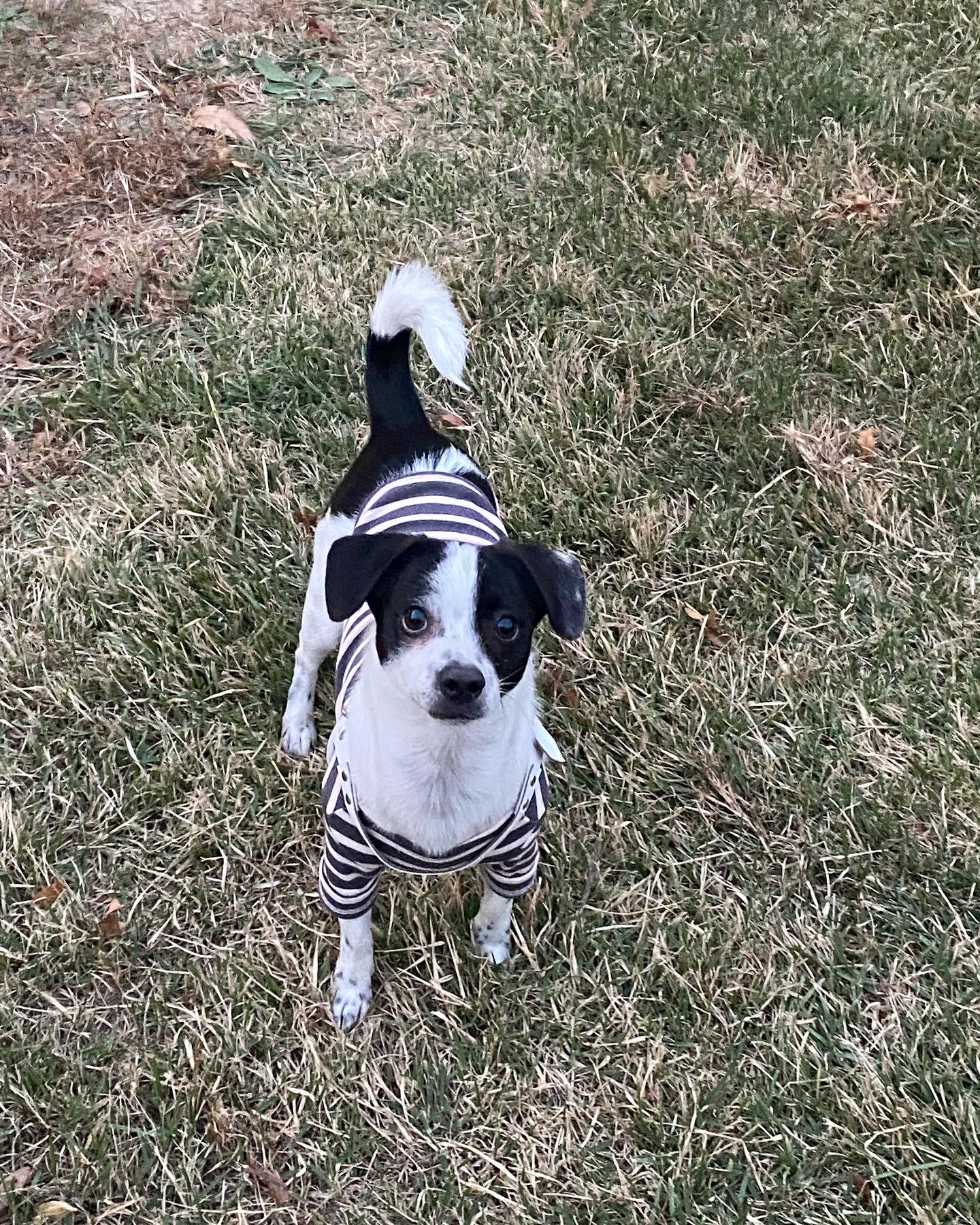 아키(하얀이)가 온지 1년이 됐어요!