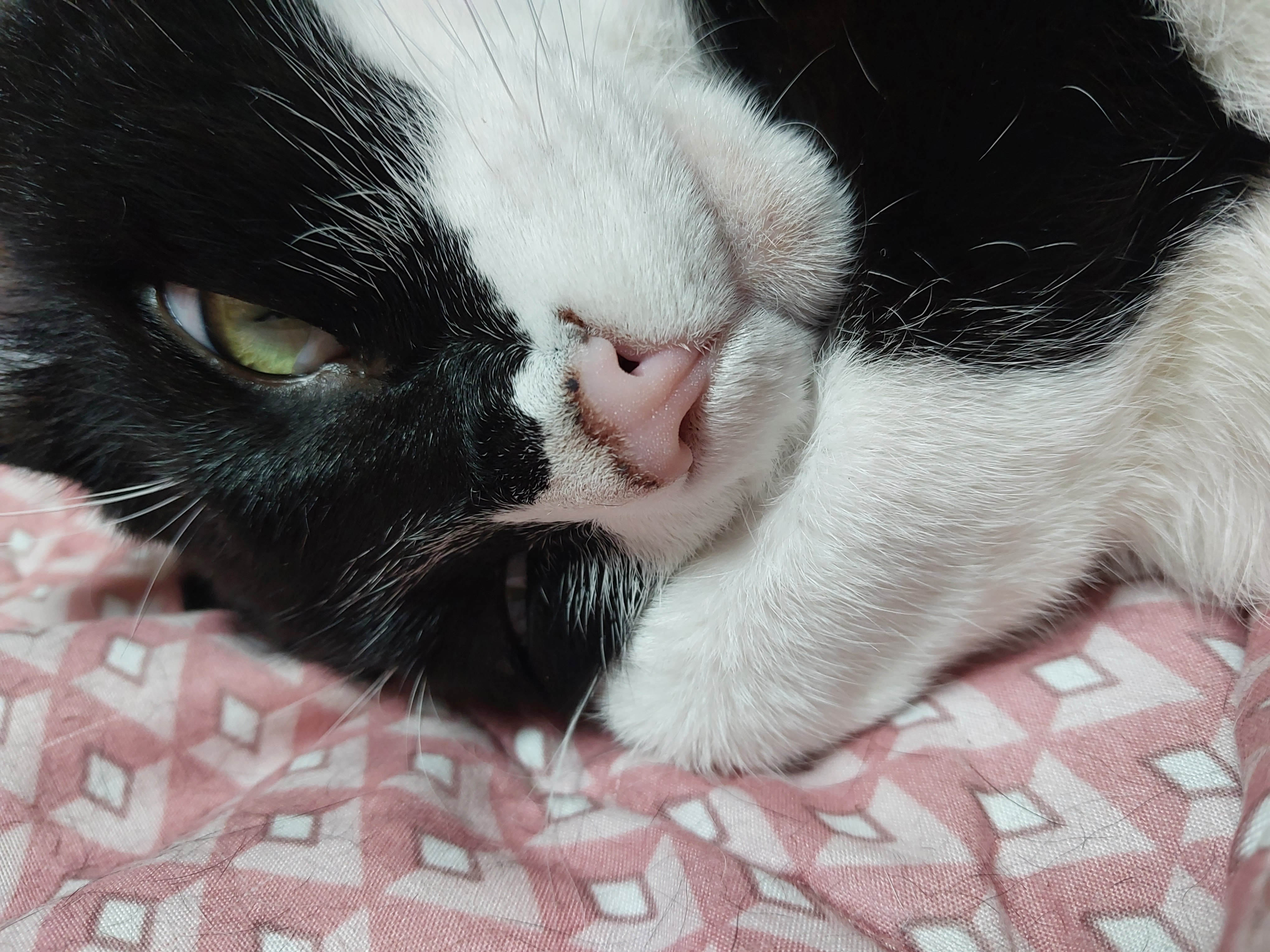 미파가 온 지 벌써 5년!