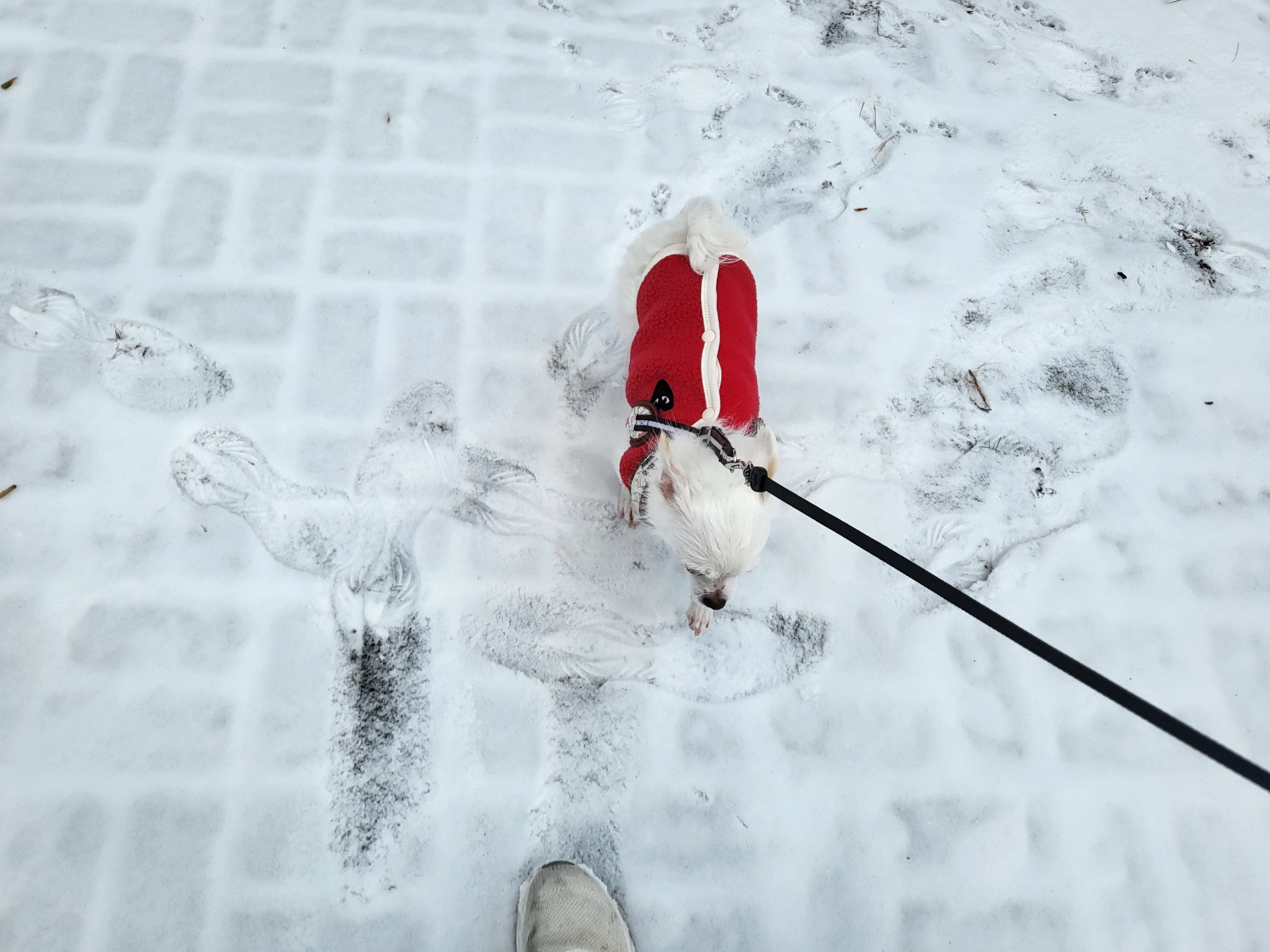 설희(오투)와의 8일째 풋풋한 동거(임보이야기)